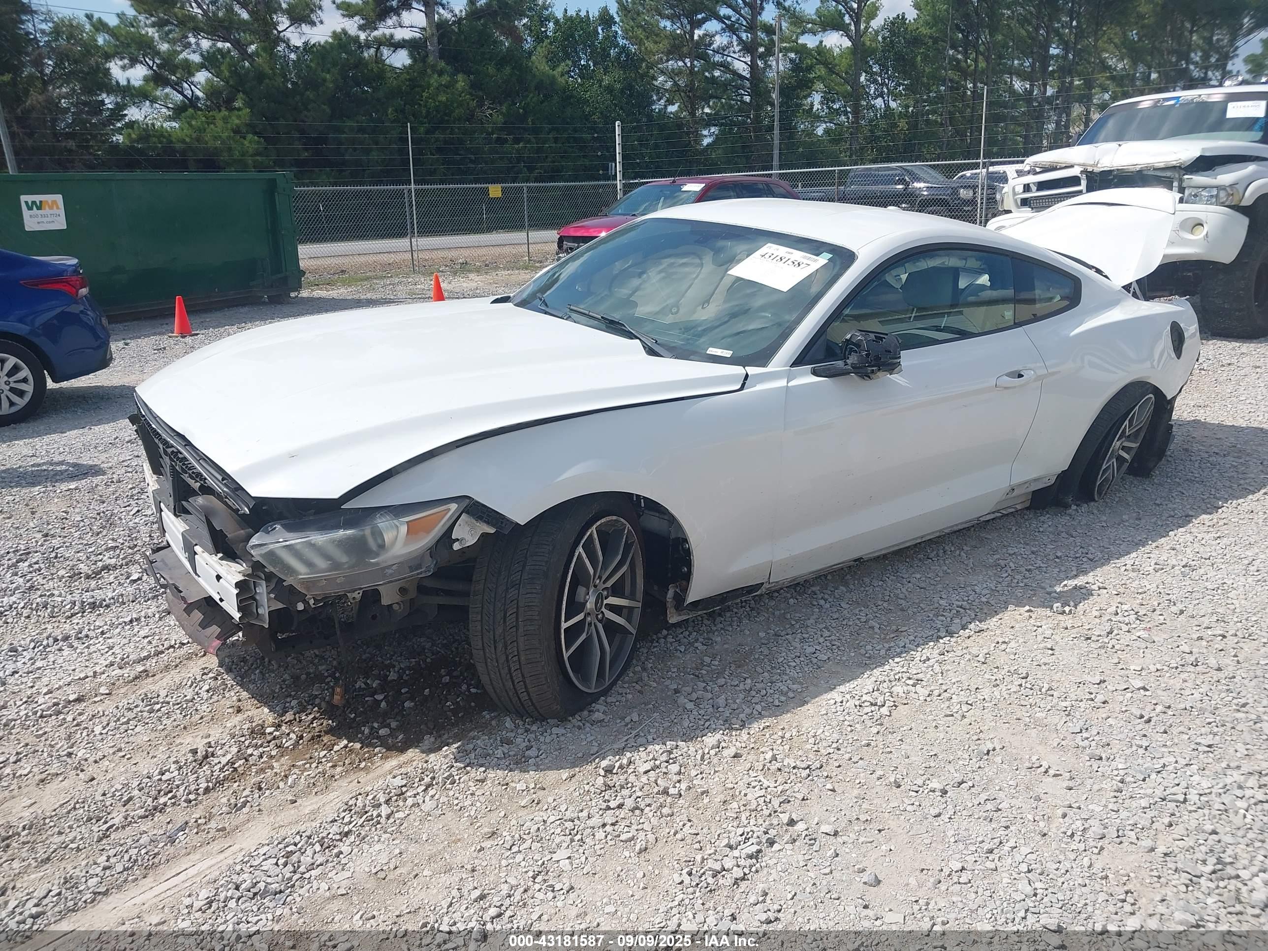 FORD MUSTANG image 2