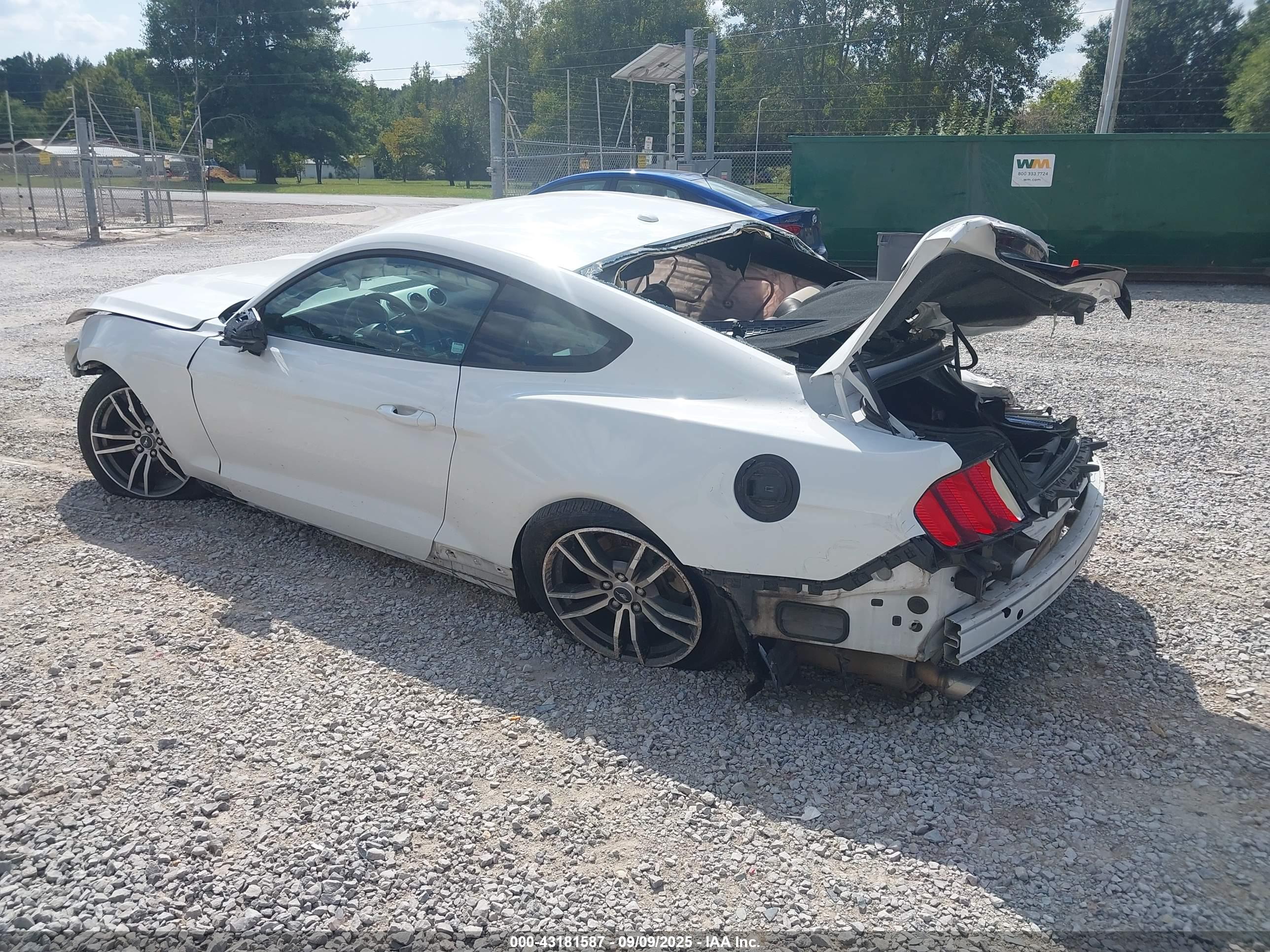 FORD MUSTANG image 3