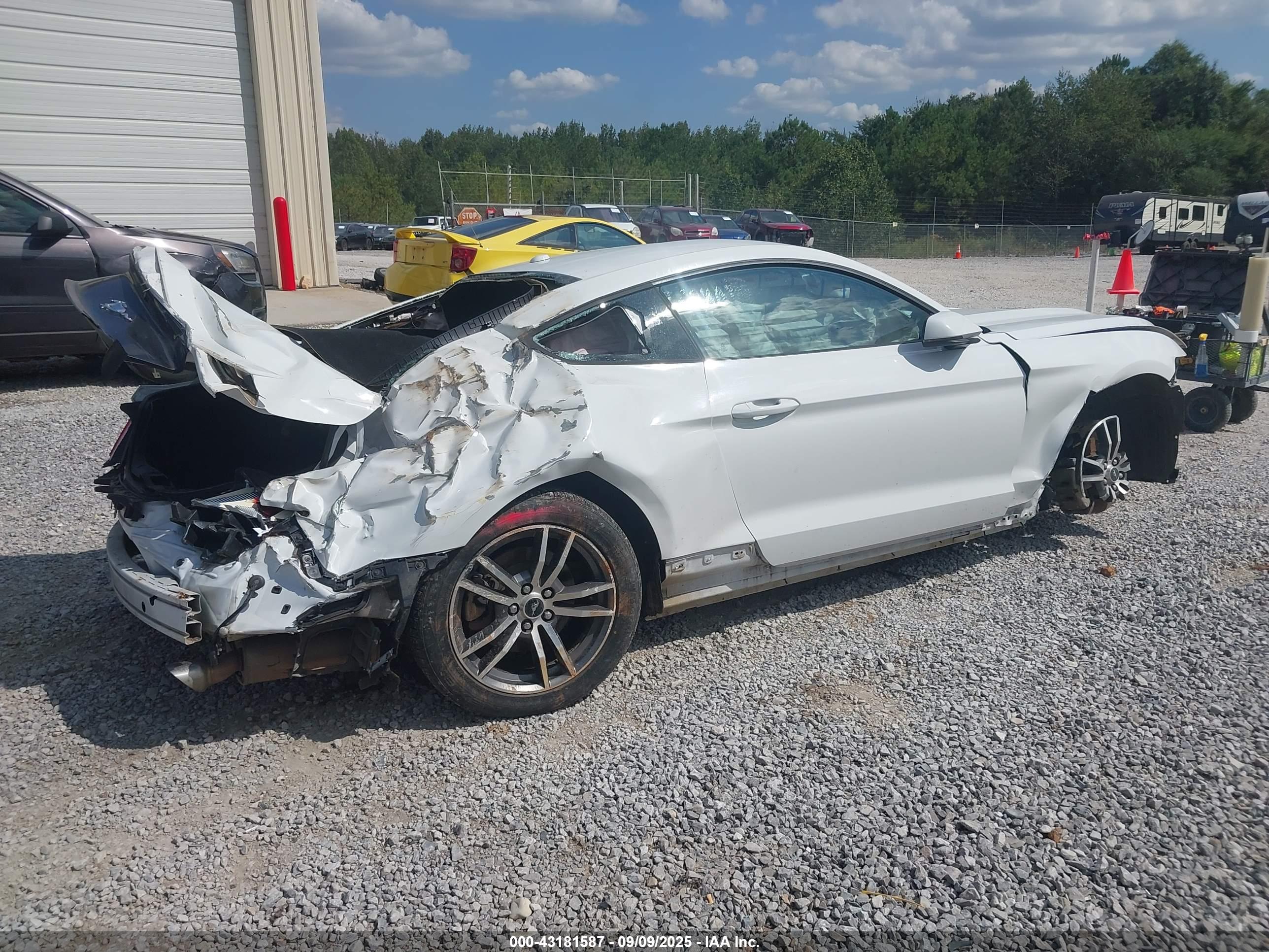 FORD MUSTANG image 6