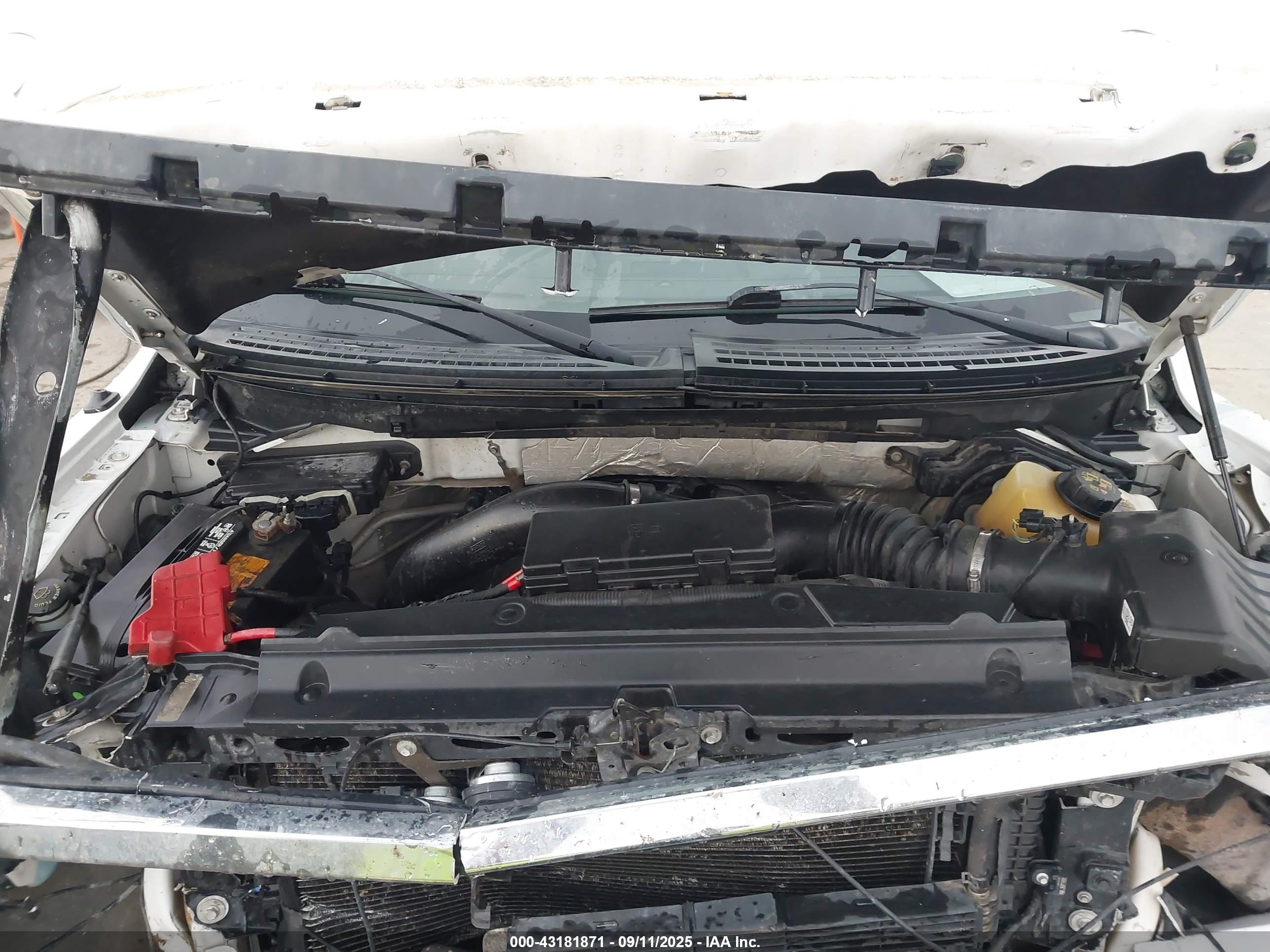 FORD F-150 image 10