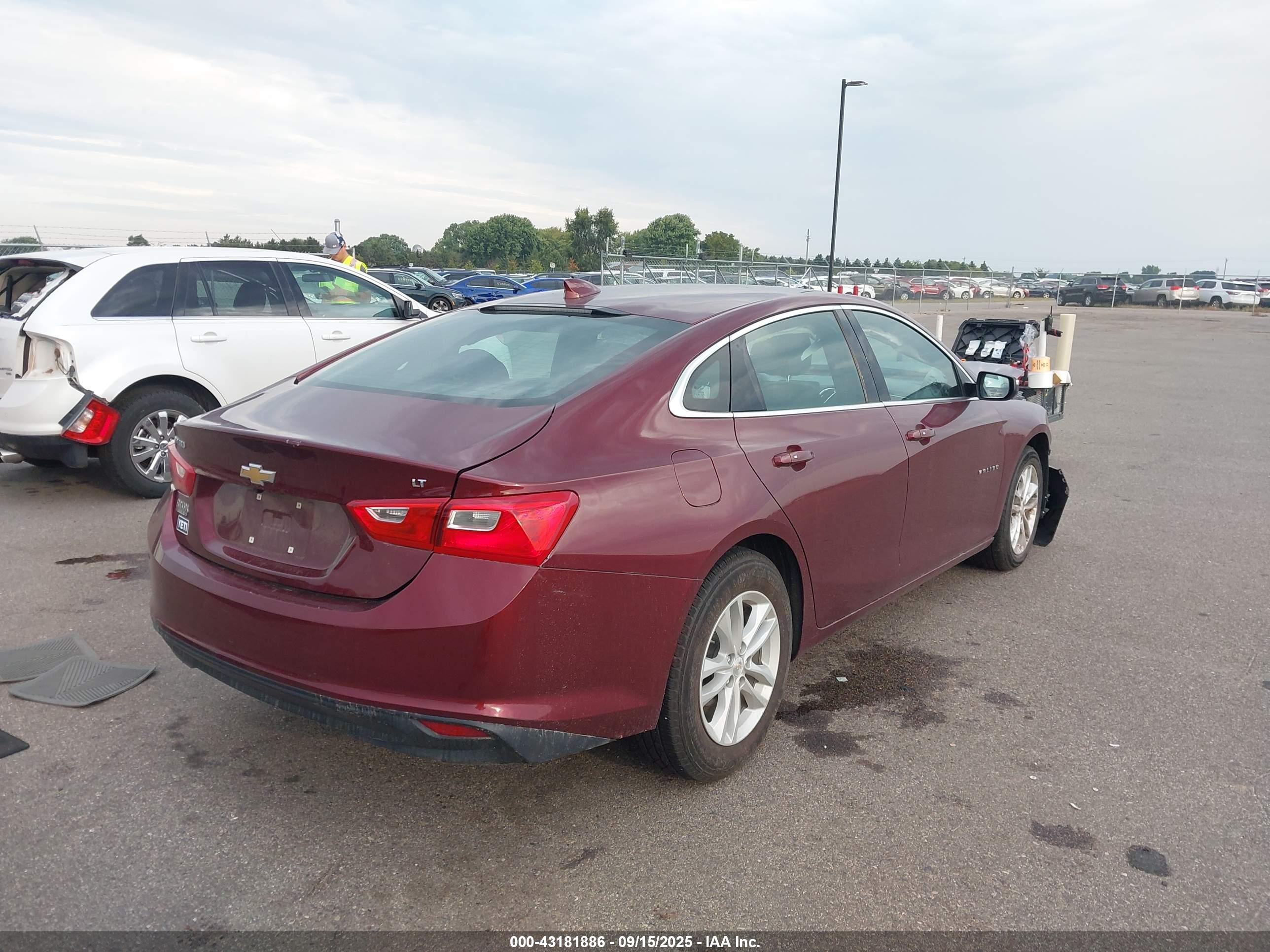 CHEVROLET MALIBU image 4