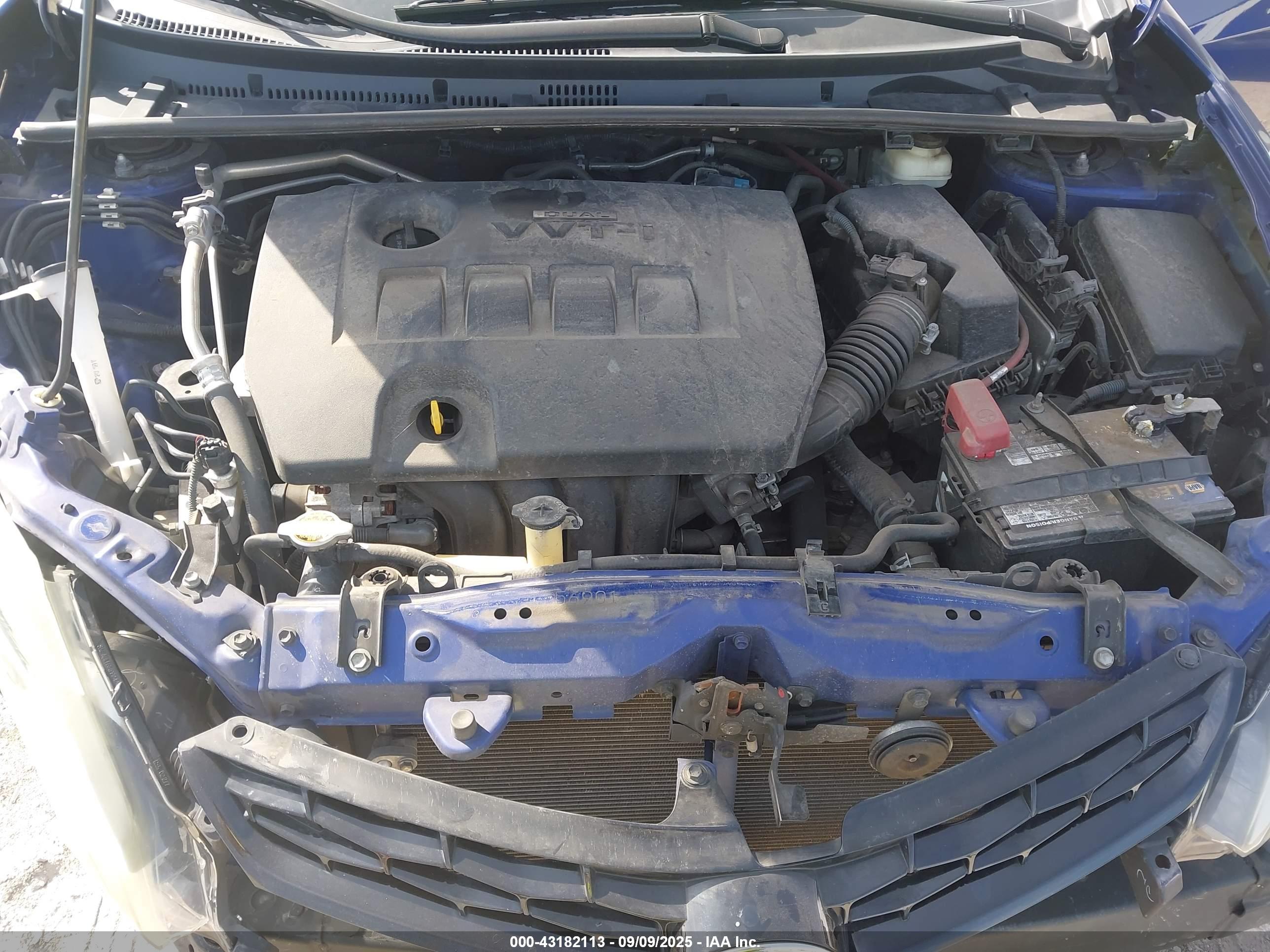 TOYOTA COROLLA image 10