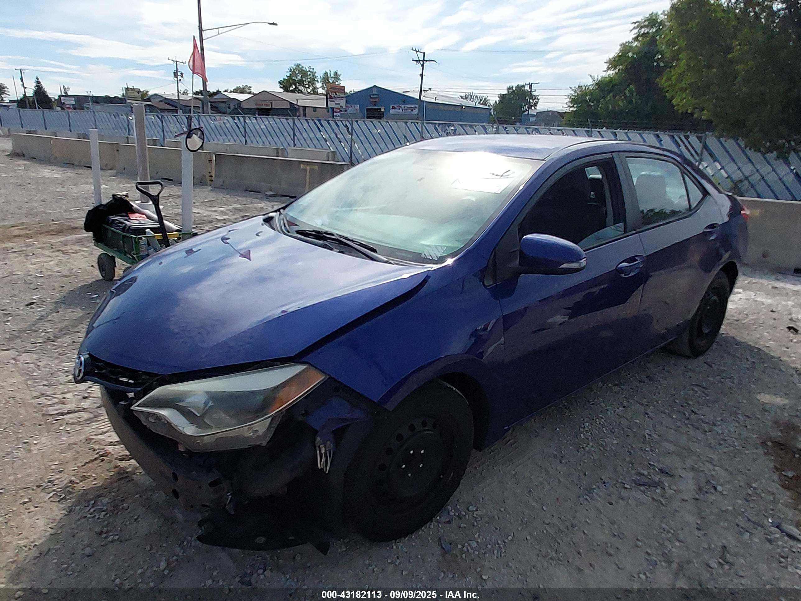 TOYOTA COROLLA image 2