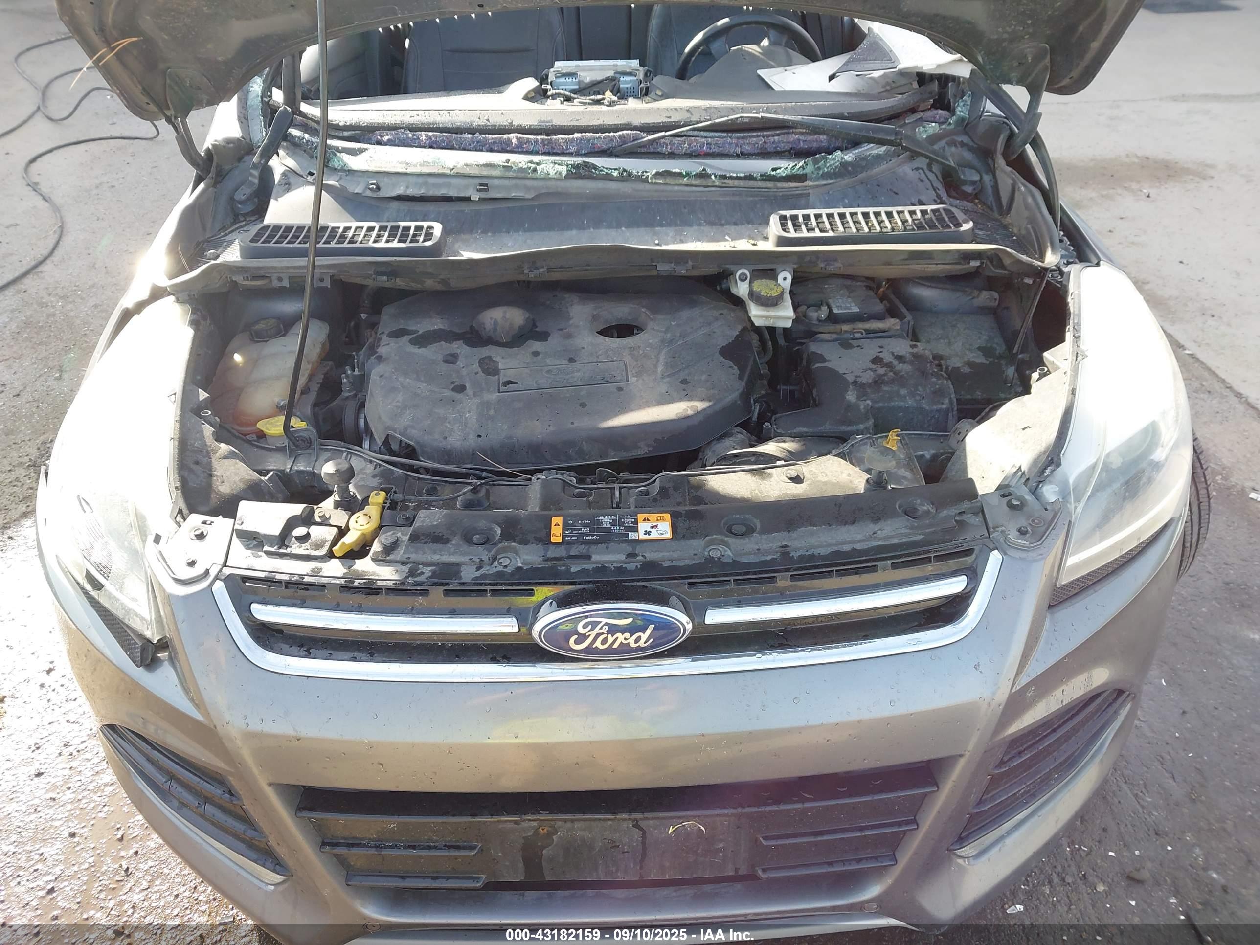 FORD ESCAPE image 10