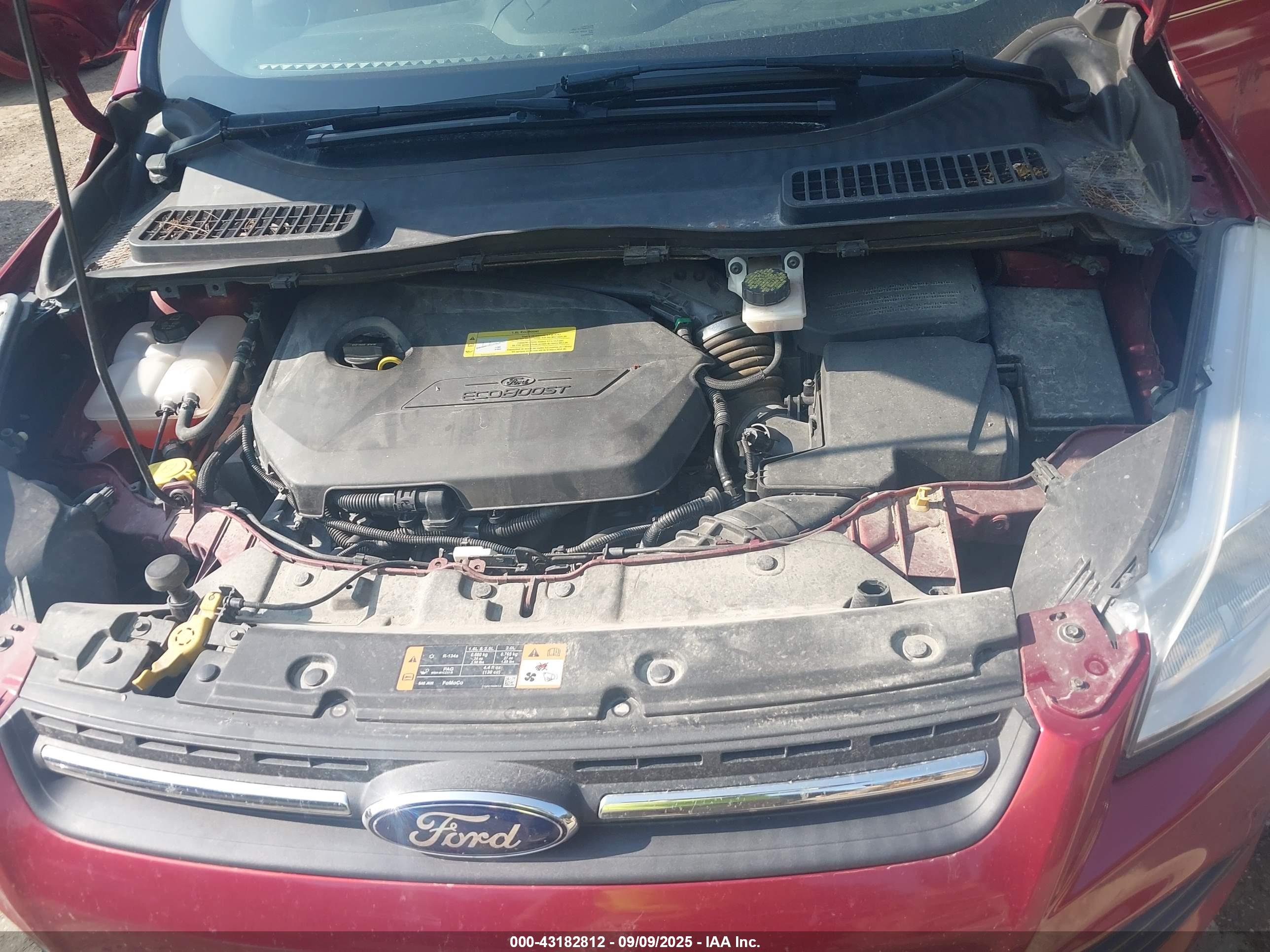 FORD ESCAPE image 10