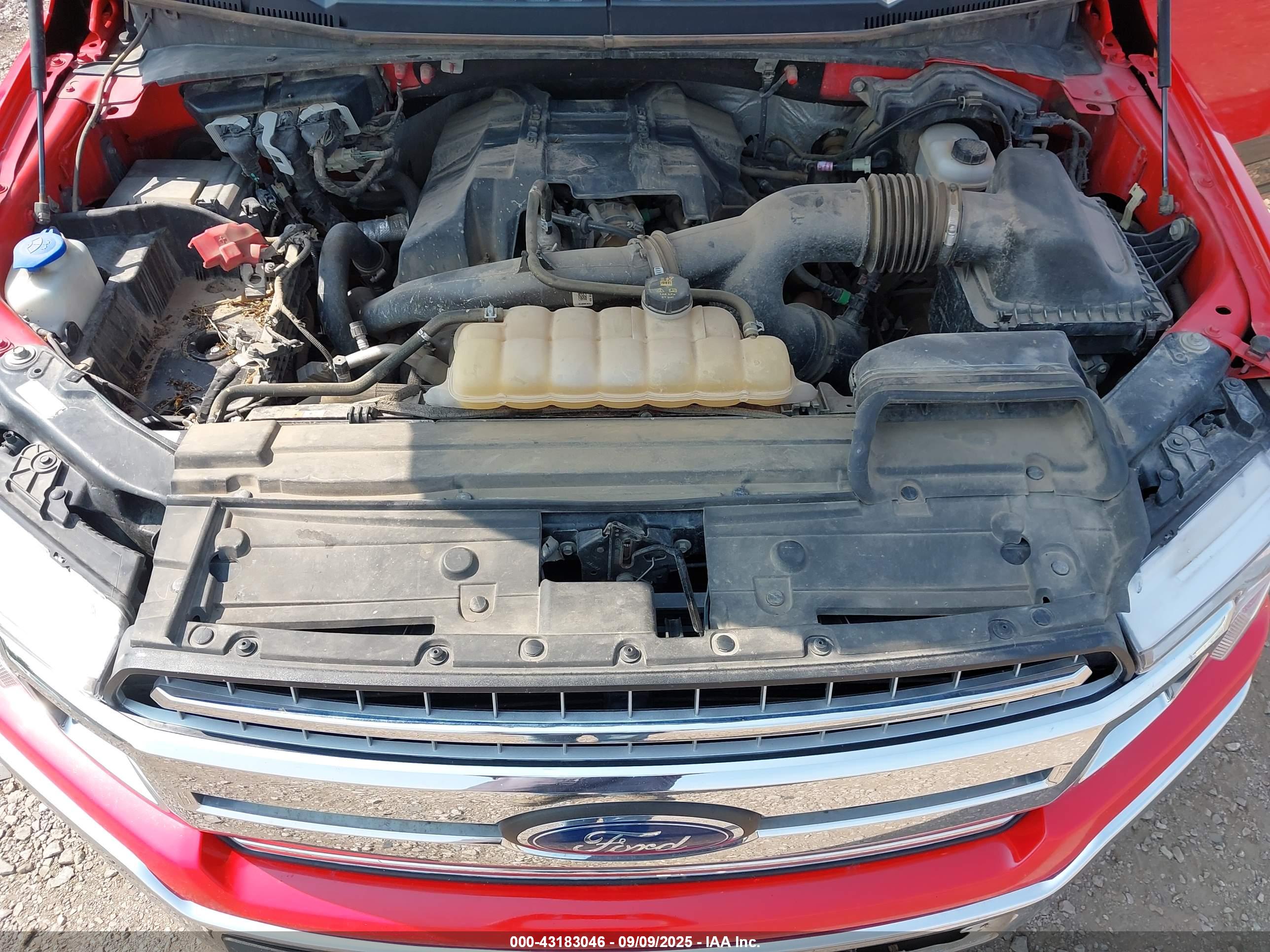 FORD F-150 image 10