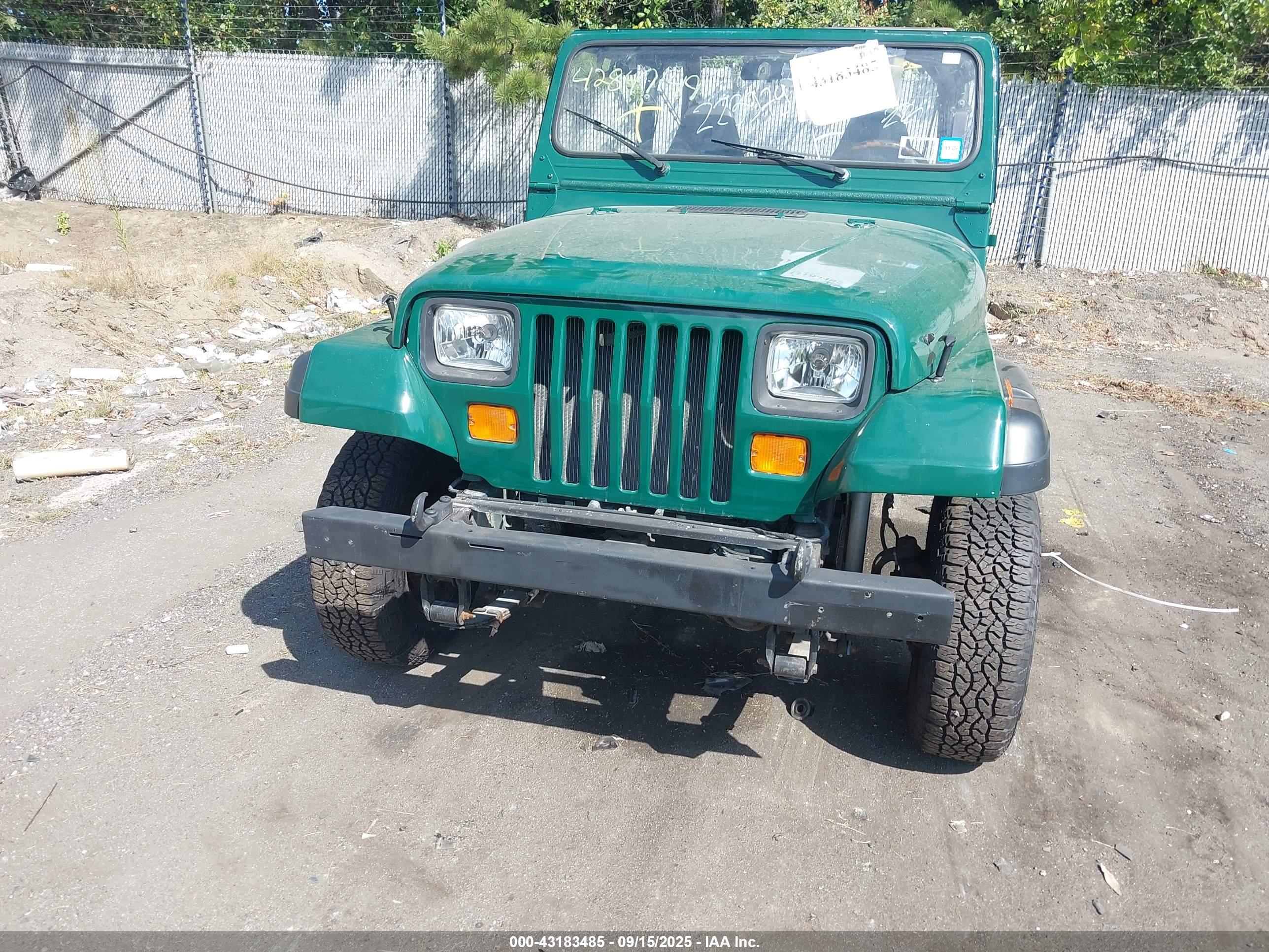 JEEP WRANGLER image 6