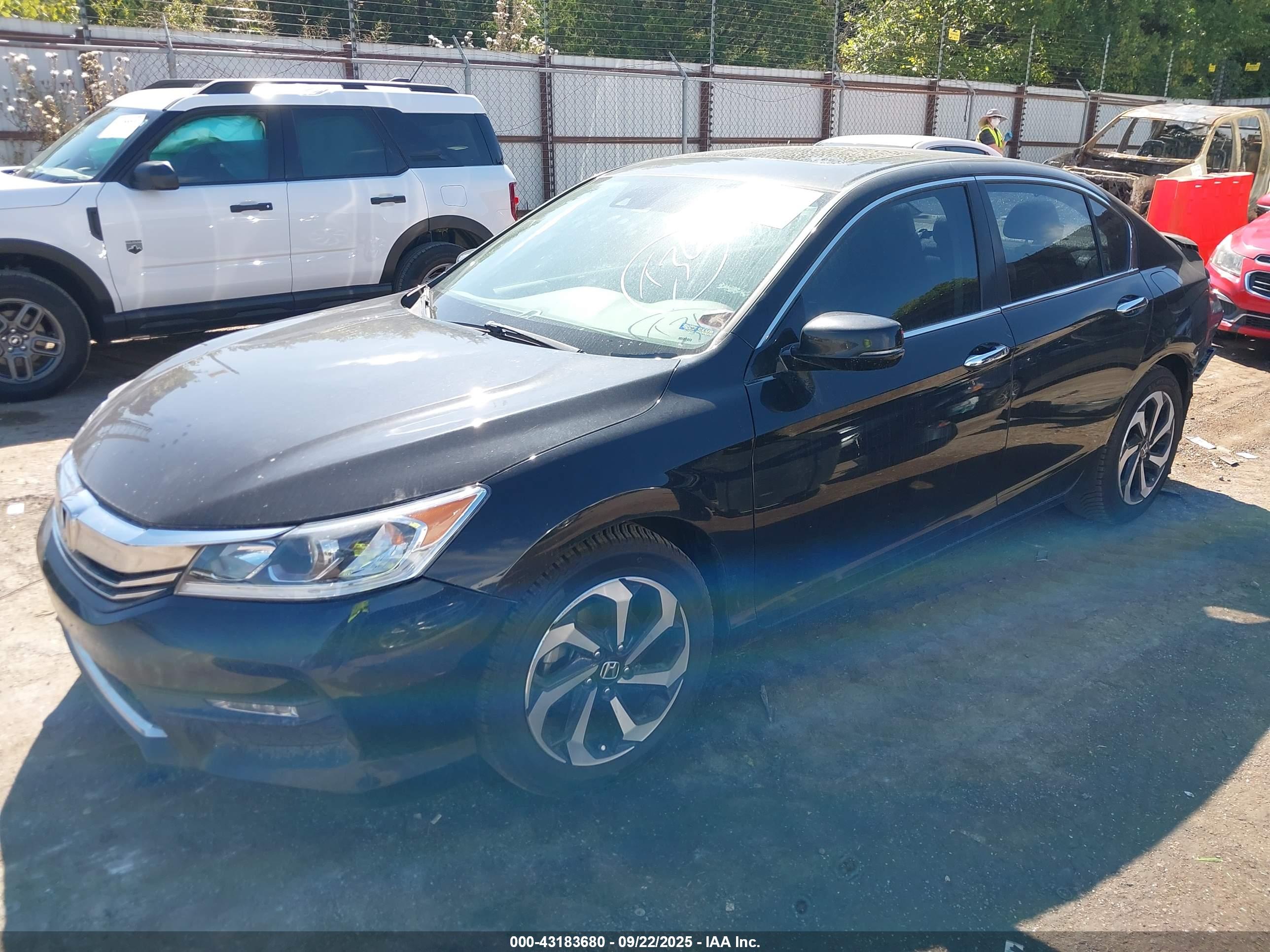 HONDA ACCORD image 2