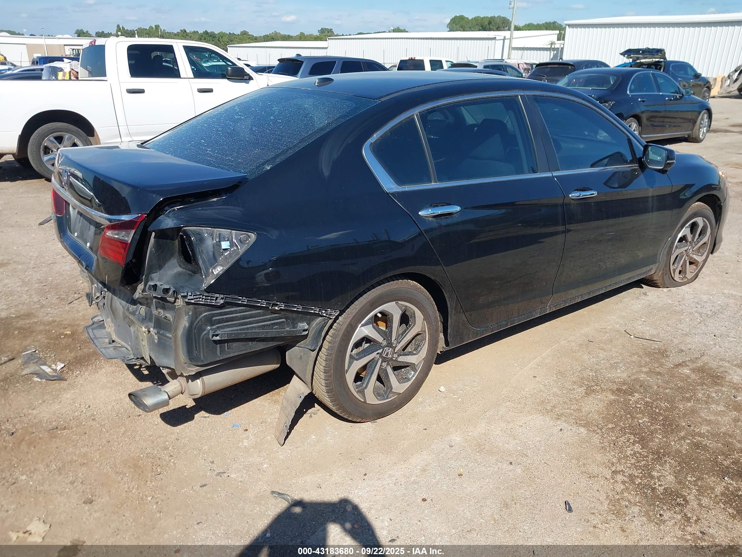 HONDA ACCORD image 4