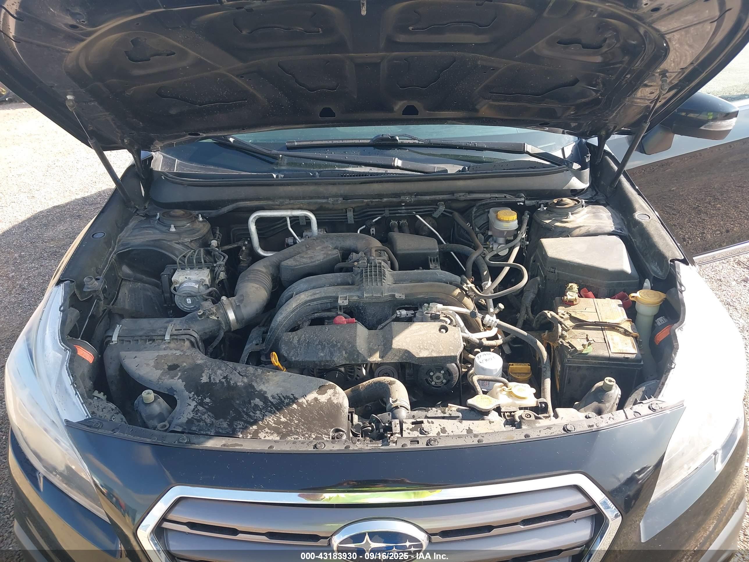 SUBARU OUTBACK image 10