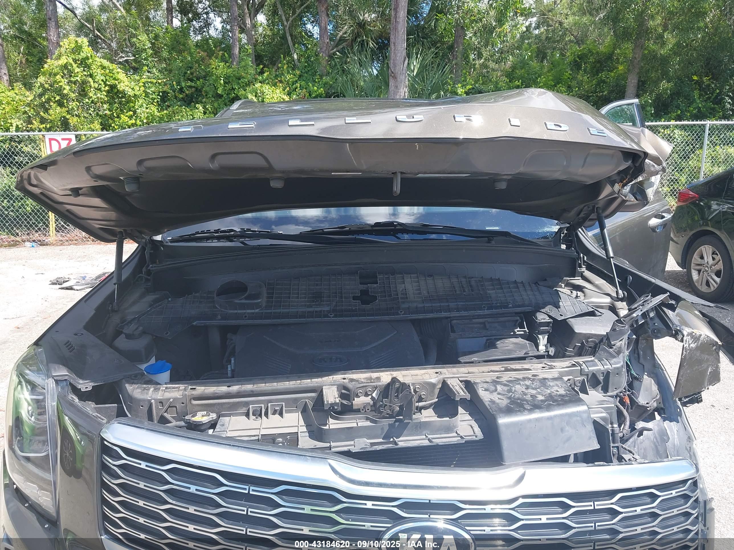 KIA TELLURIDE image 10
