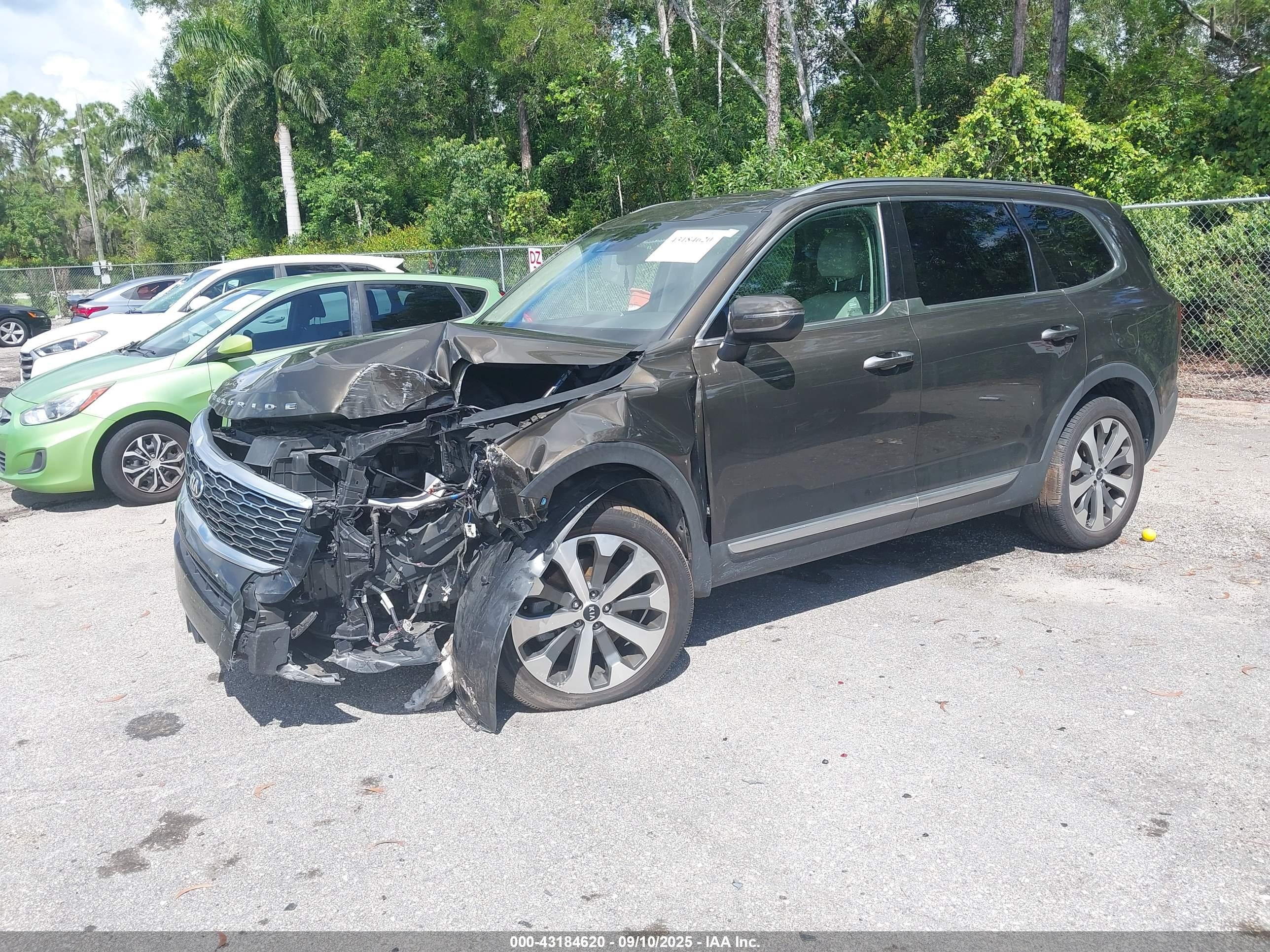 KIA TELLURIDE image 2
