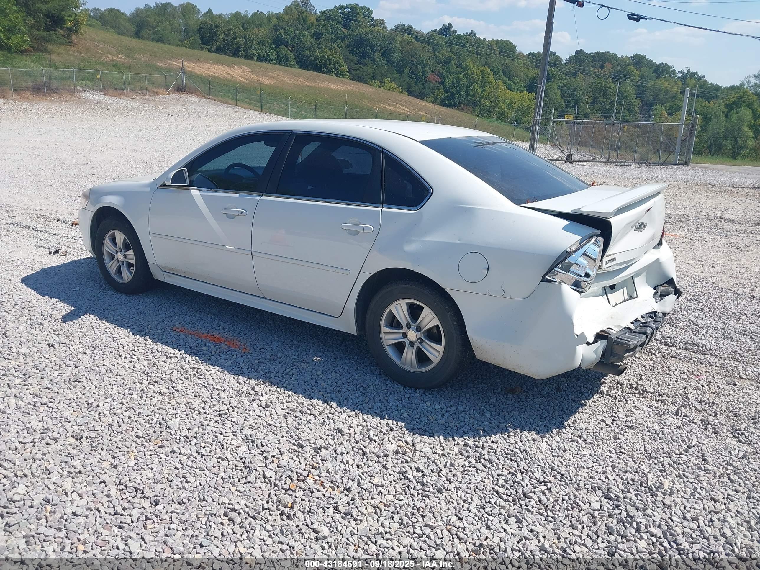 CHEVROLET IMPALA image 3