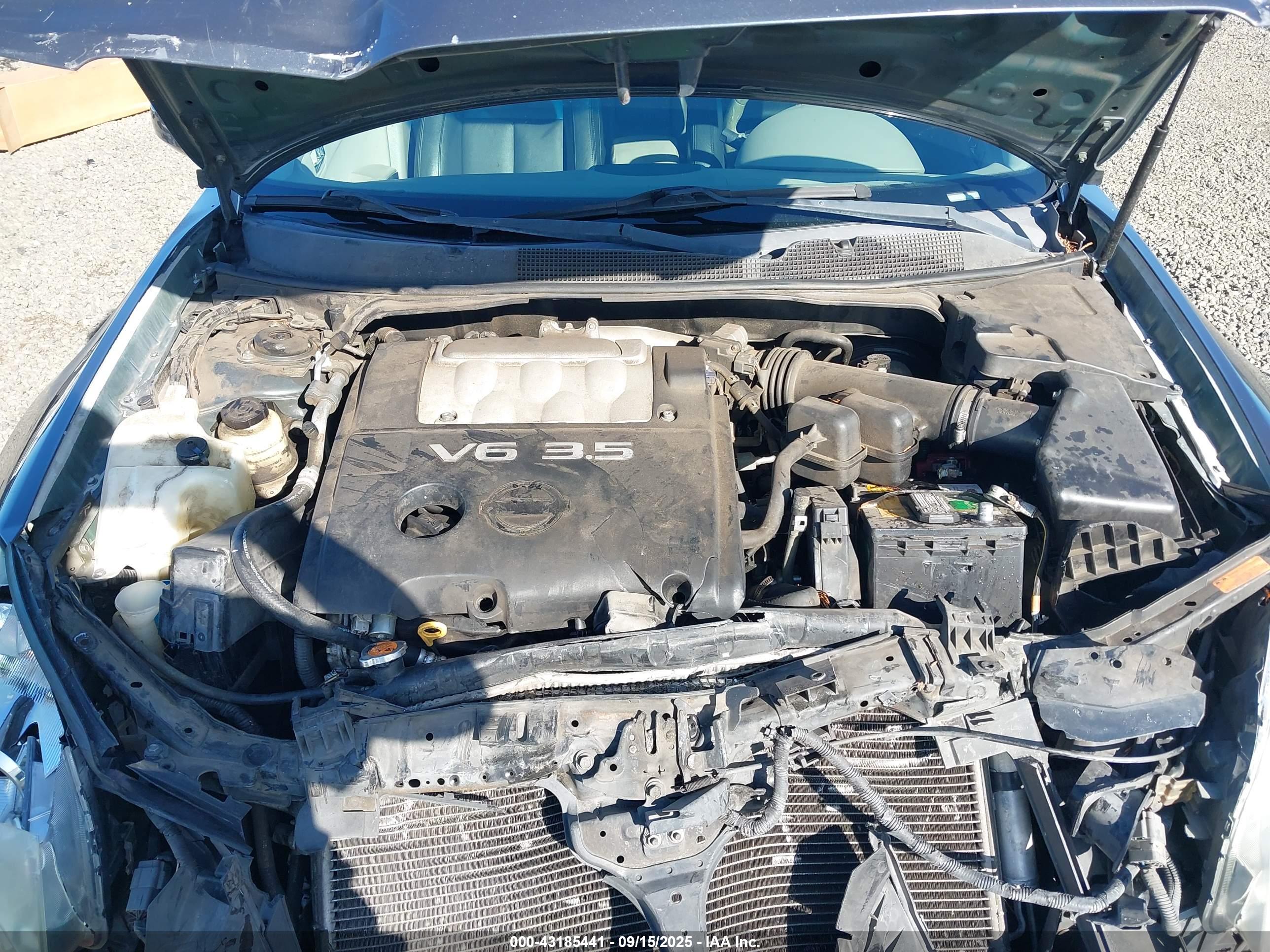 NISSAN MAXIMA image 10