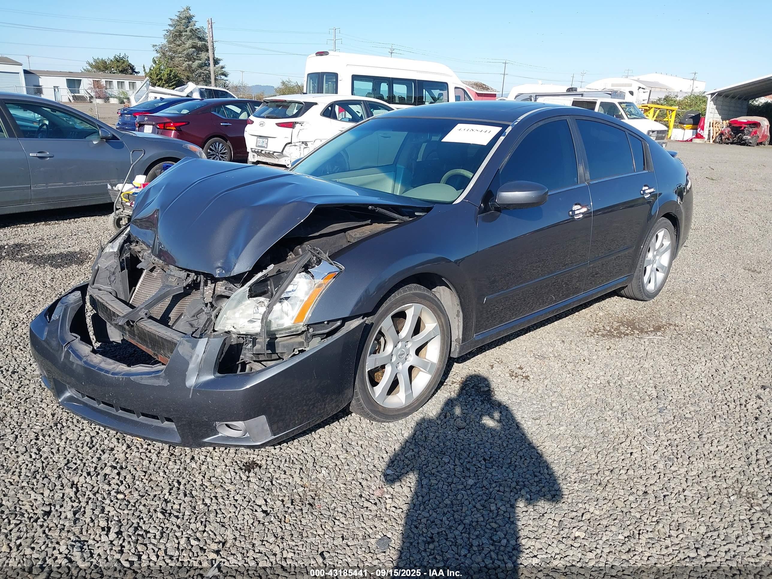 NISSAN MAXIMA image 2