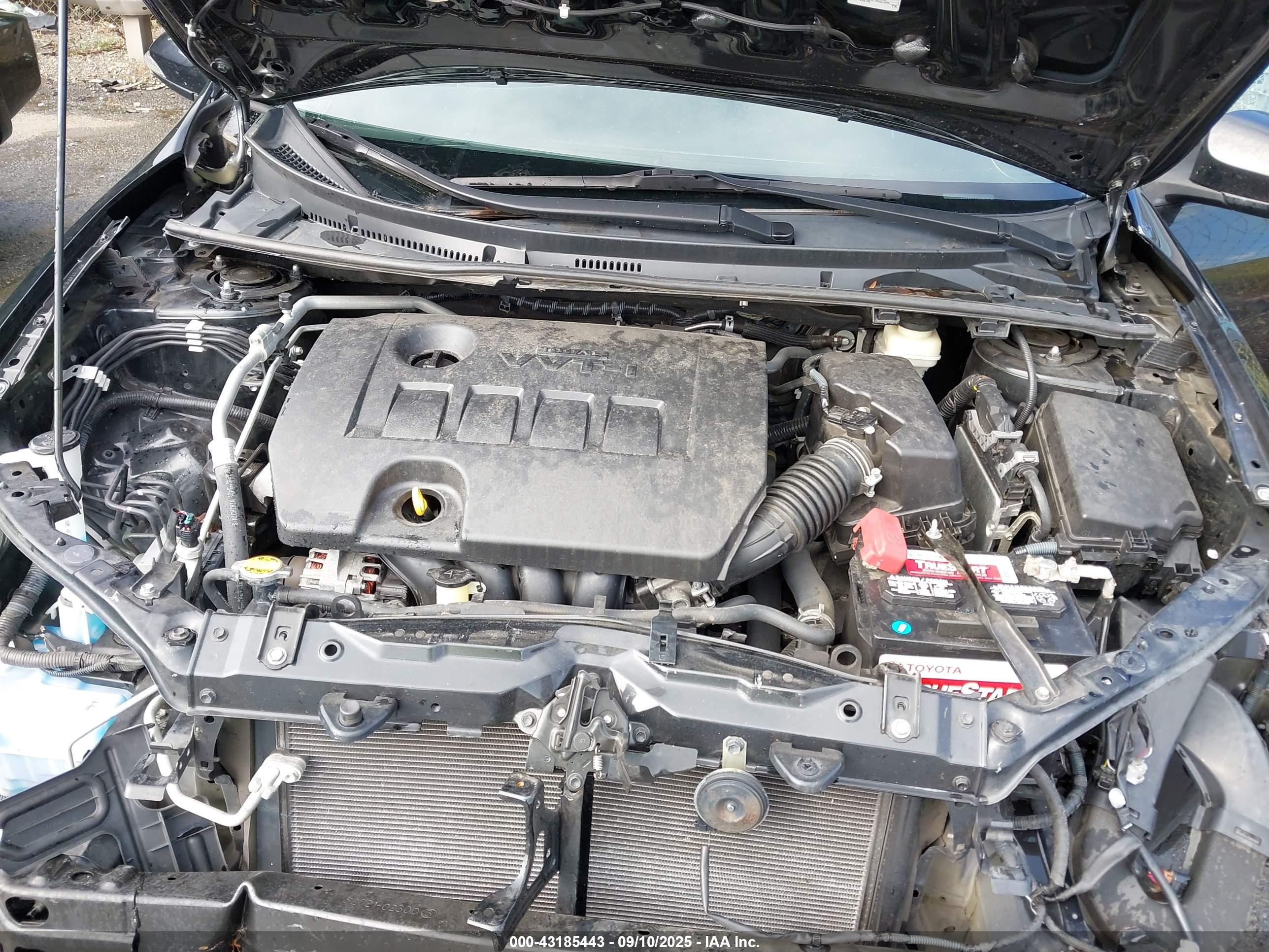 TOYOTA COROLLA image 10