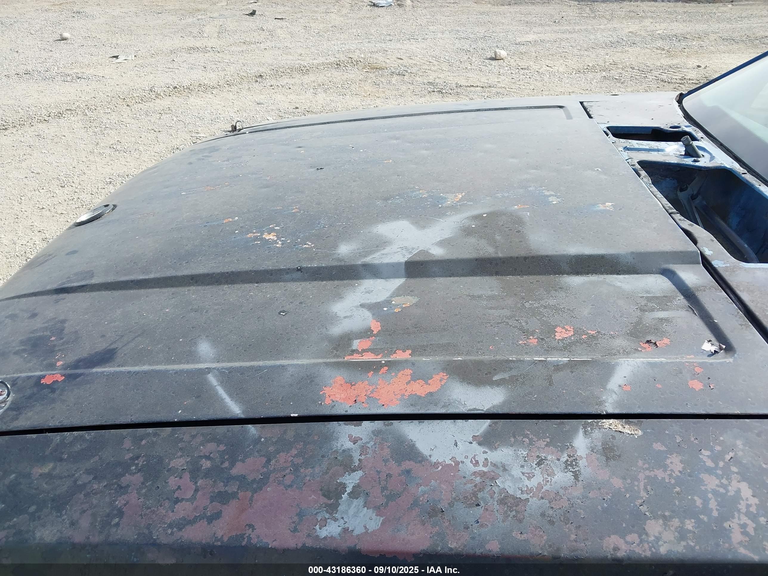 FORD MUSTANG image 6