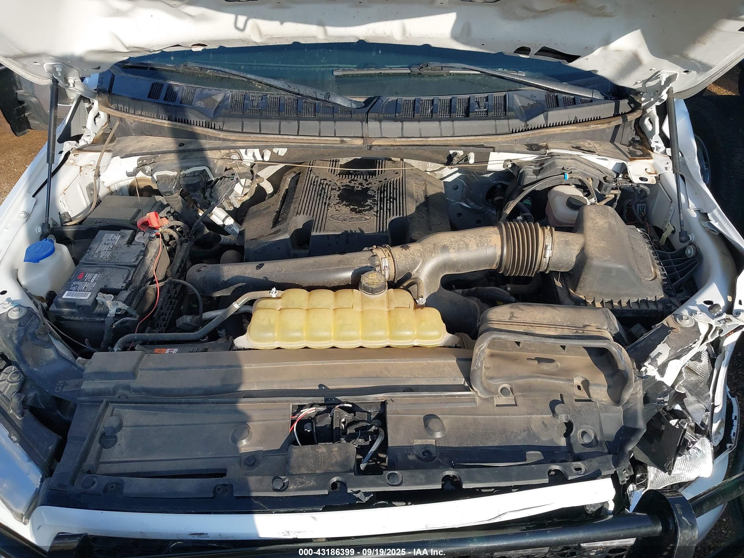 FORD F-150 image 10