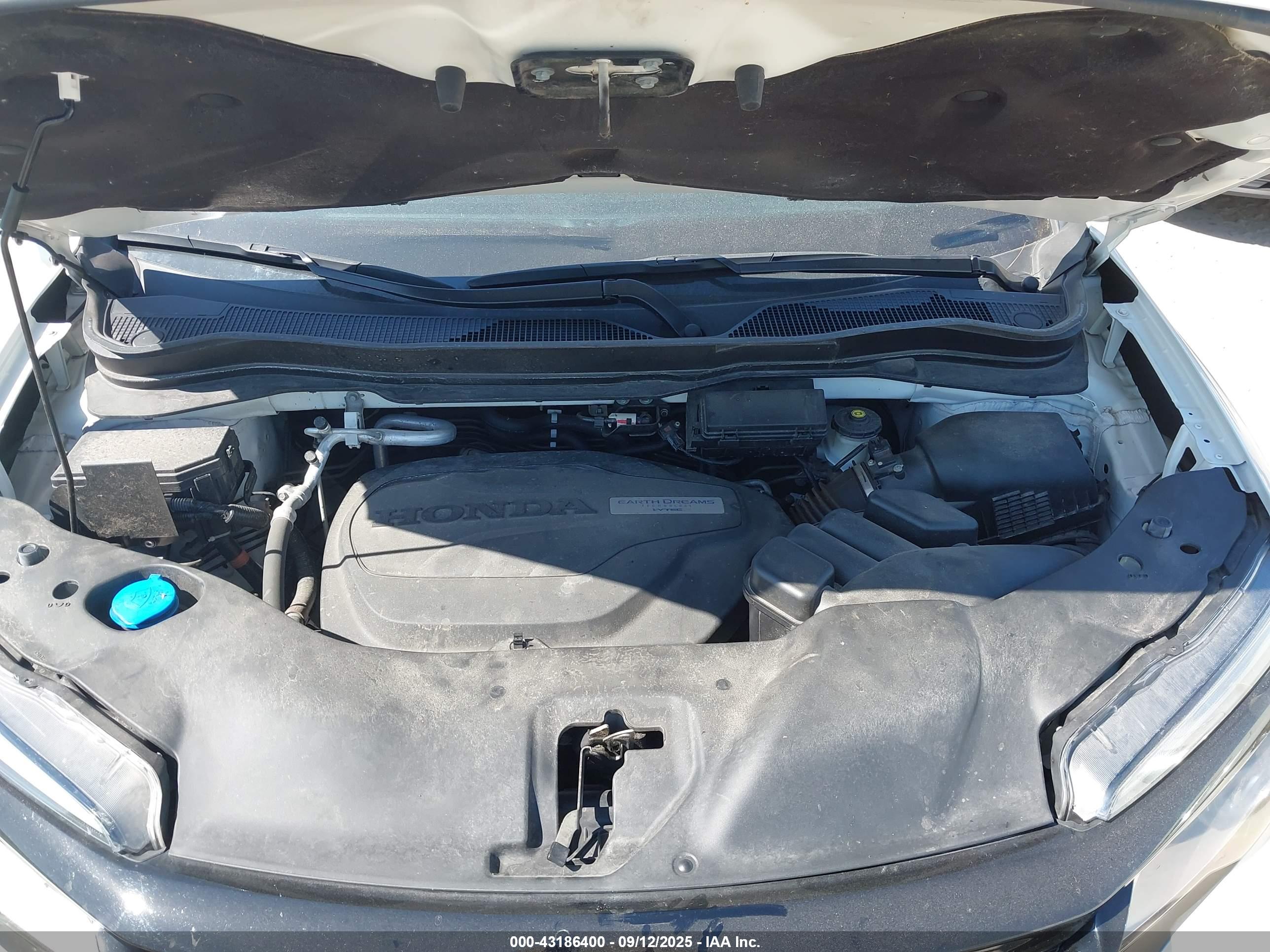HONDA PASSPORT image 10