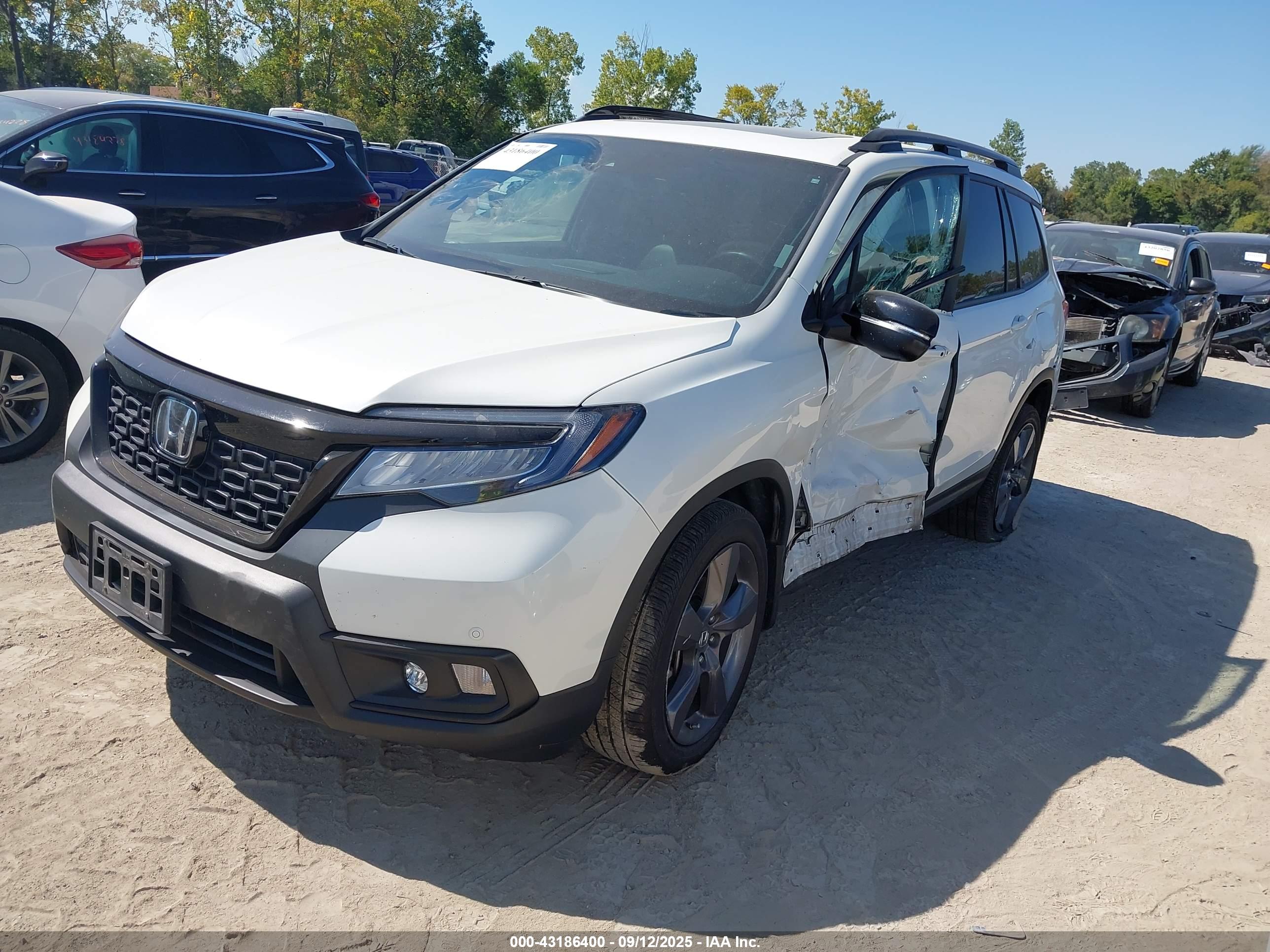 HONDA PASSPORT image 2