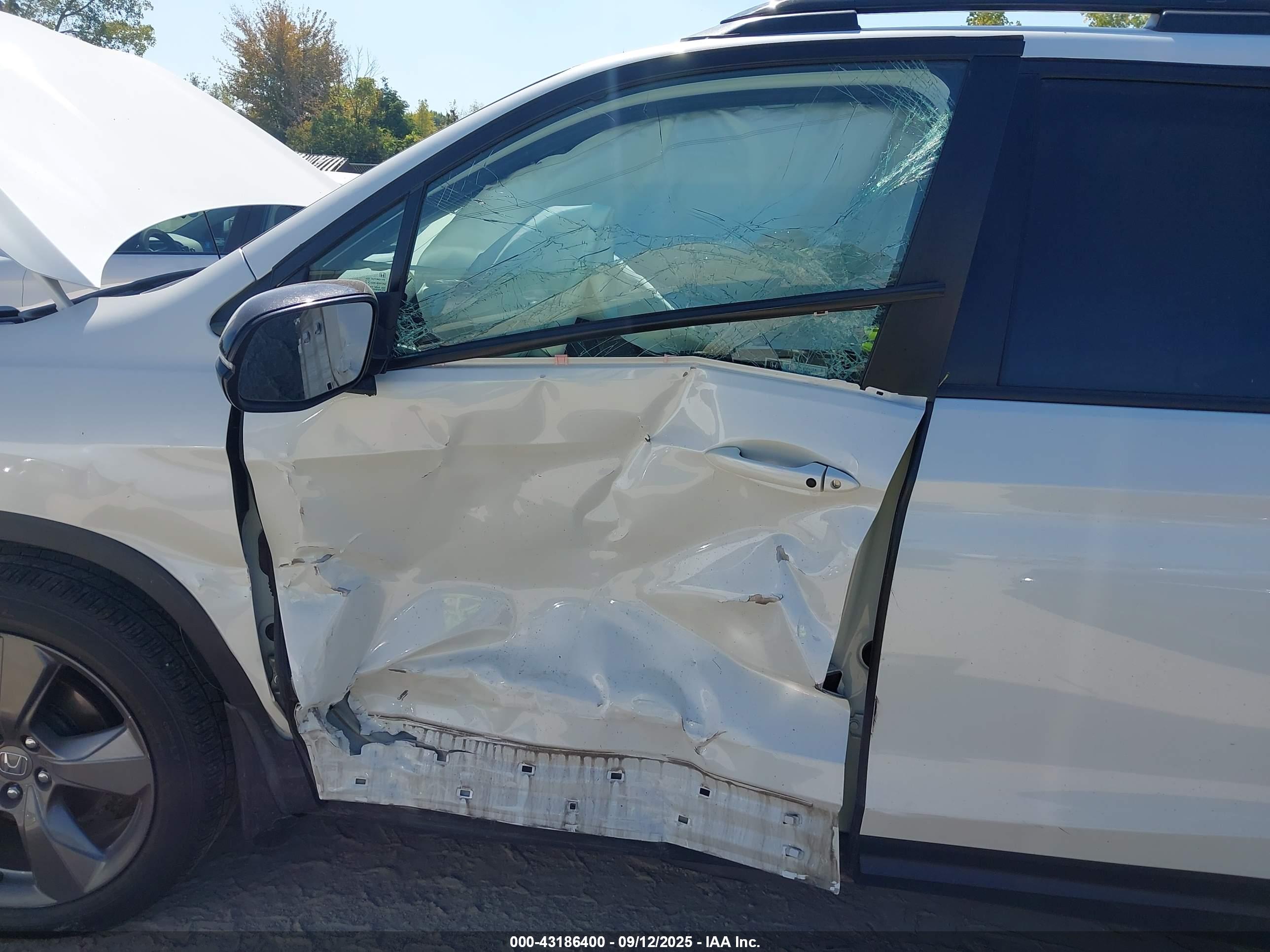 HONDA PASSPORT image 6