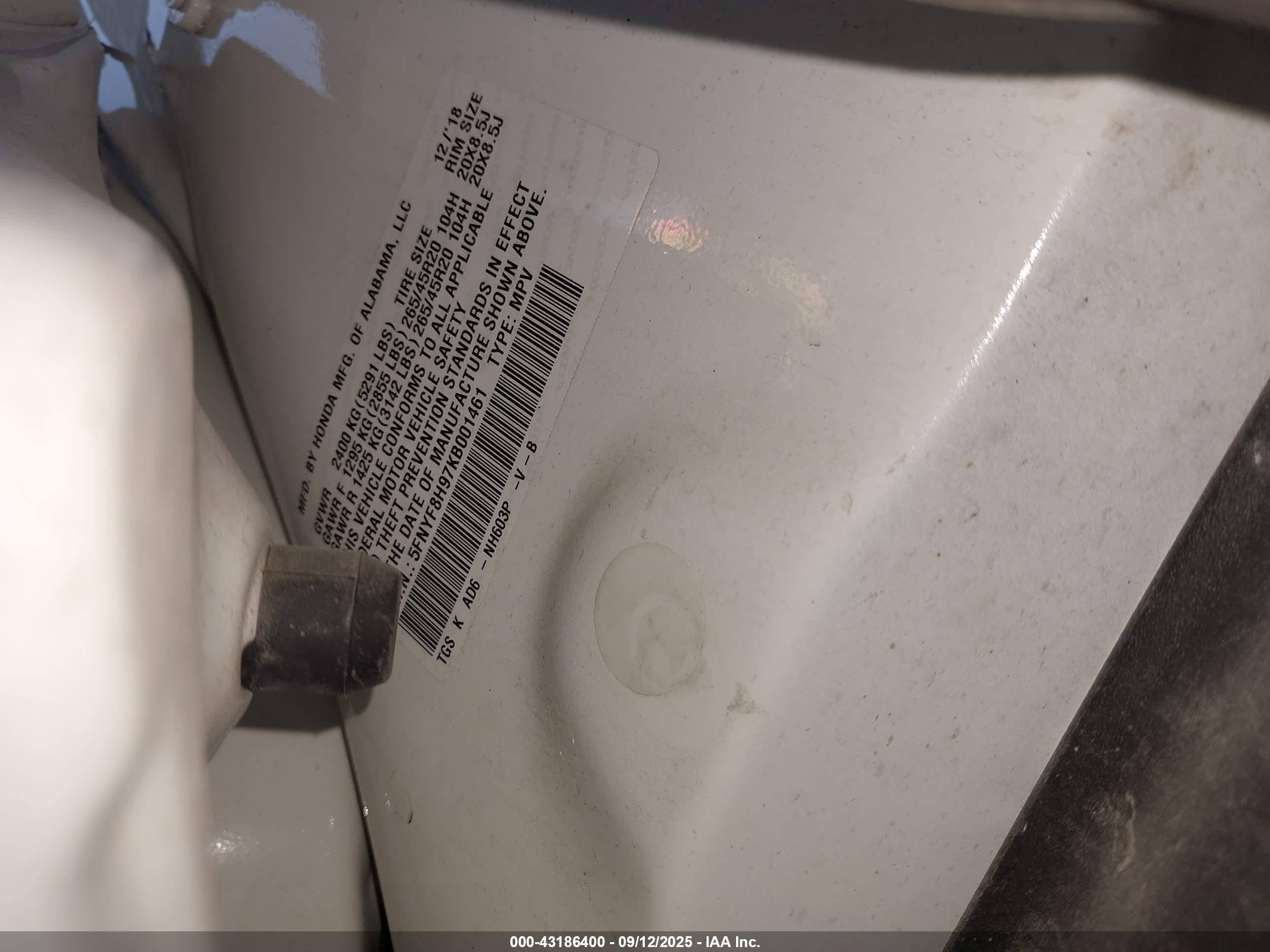 HONDA PASSPORT image 9