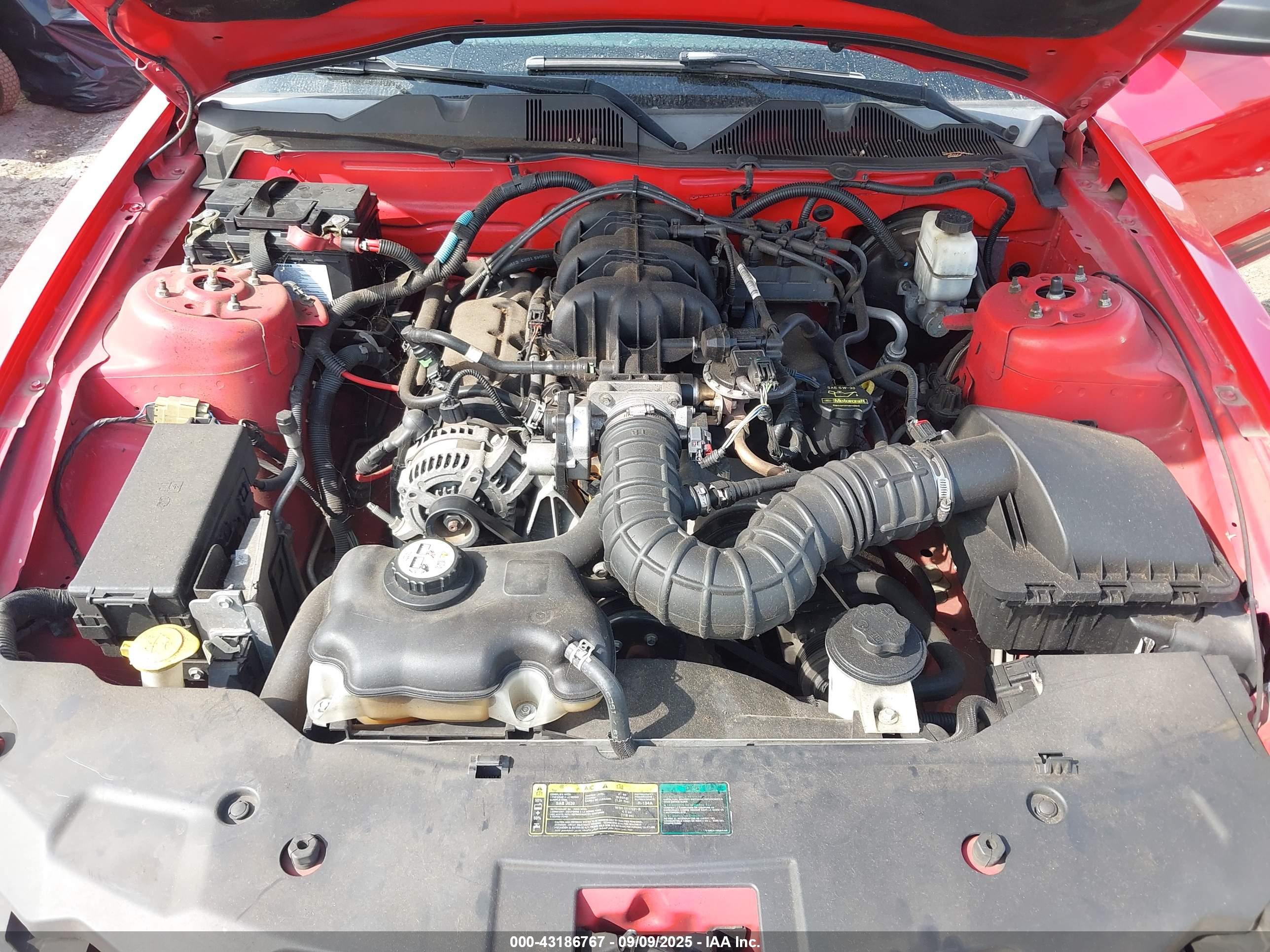 FORD MUSTANG image 10