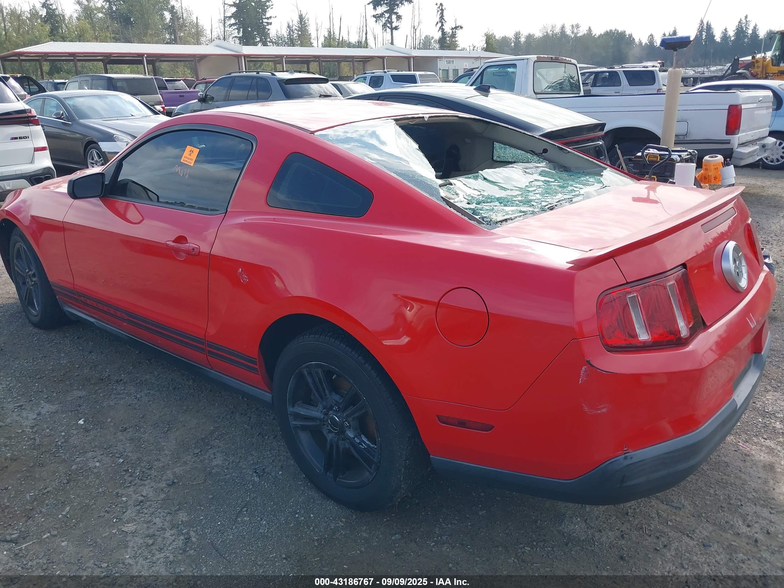 FORD MUSTANG image 3