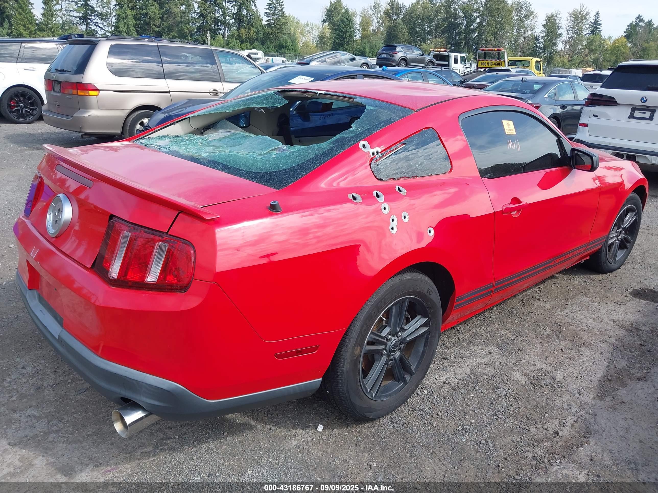 FORD MUSTANG image 4