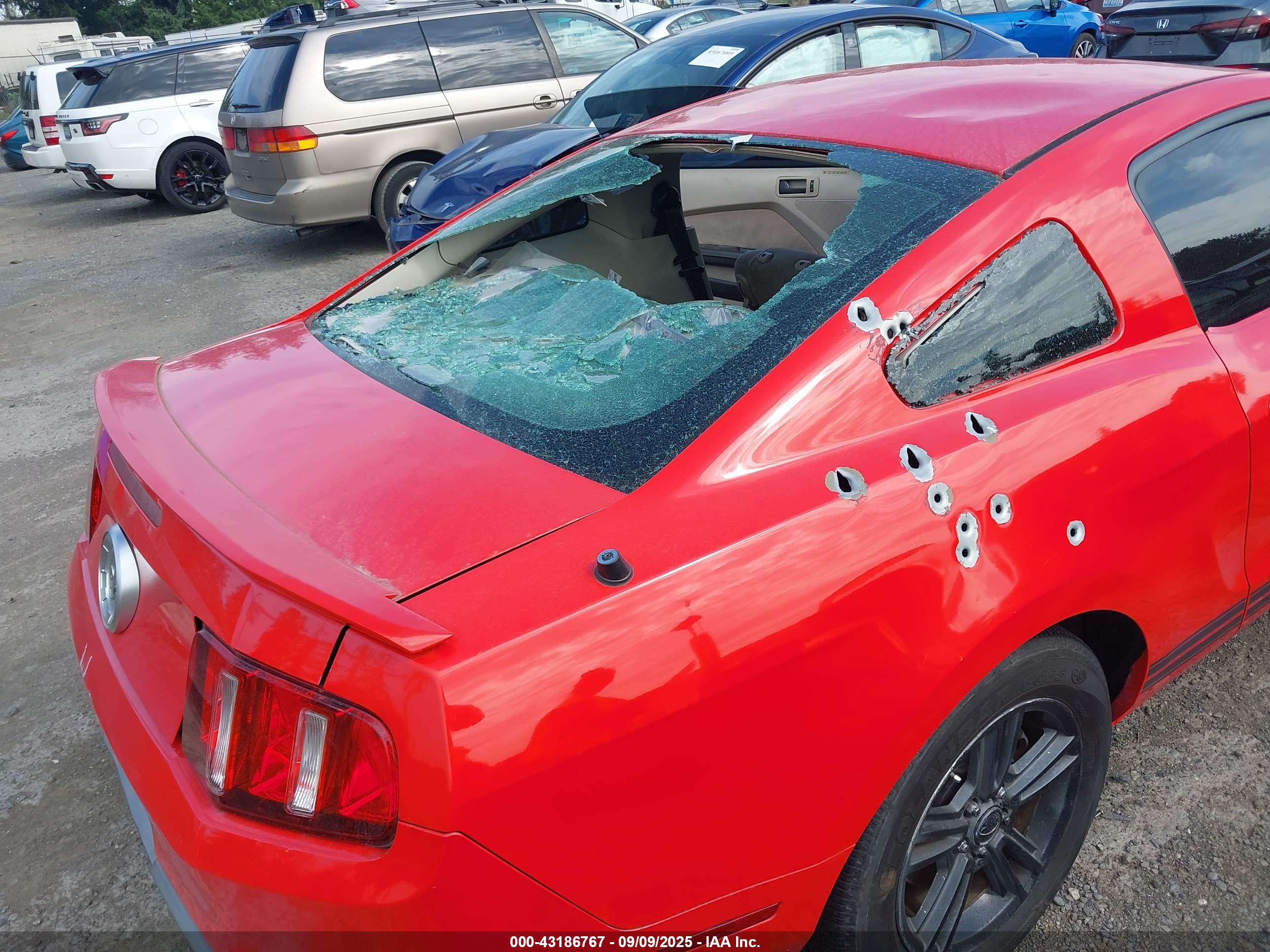 FORD MUSTANG image 6