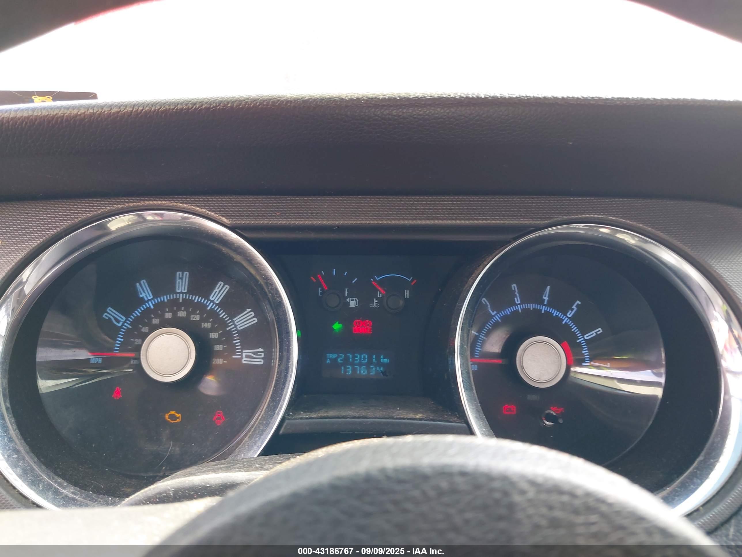 FORD MUSTANG image 7
