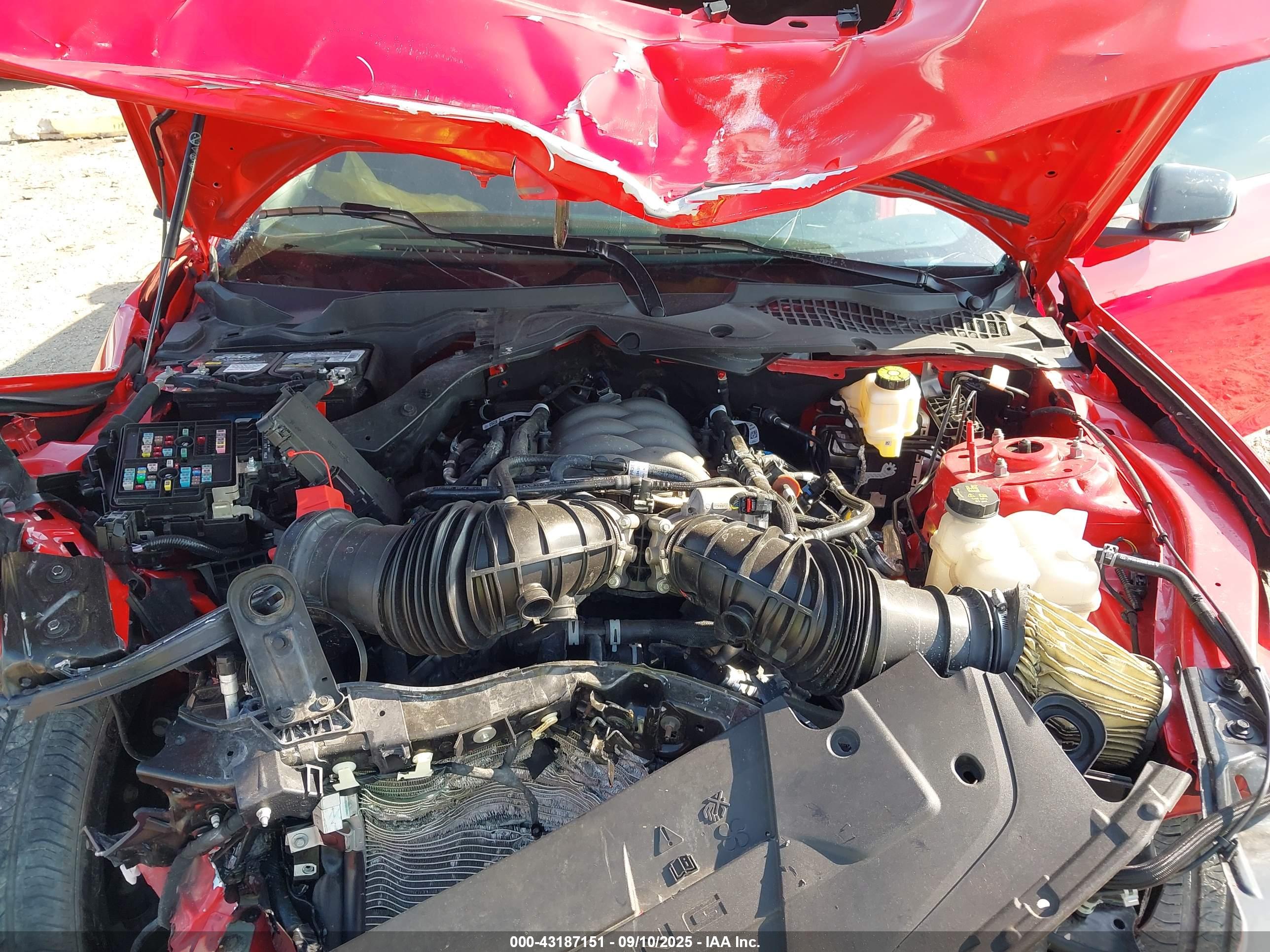 FORD MUSTANG image 10