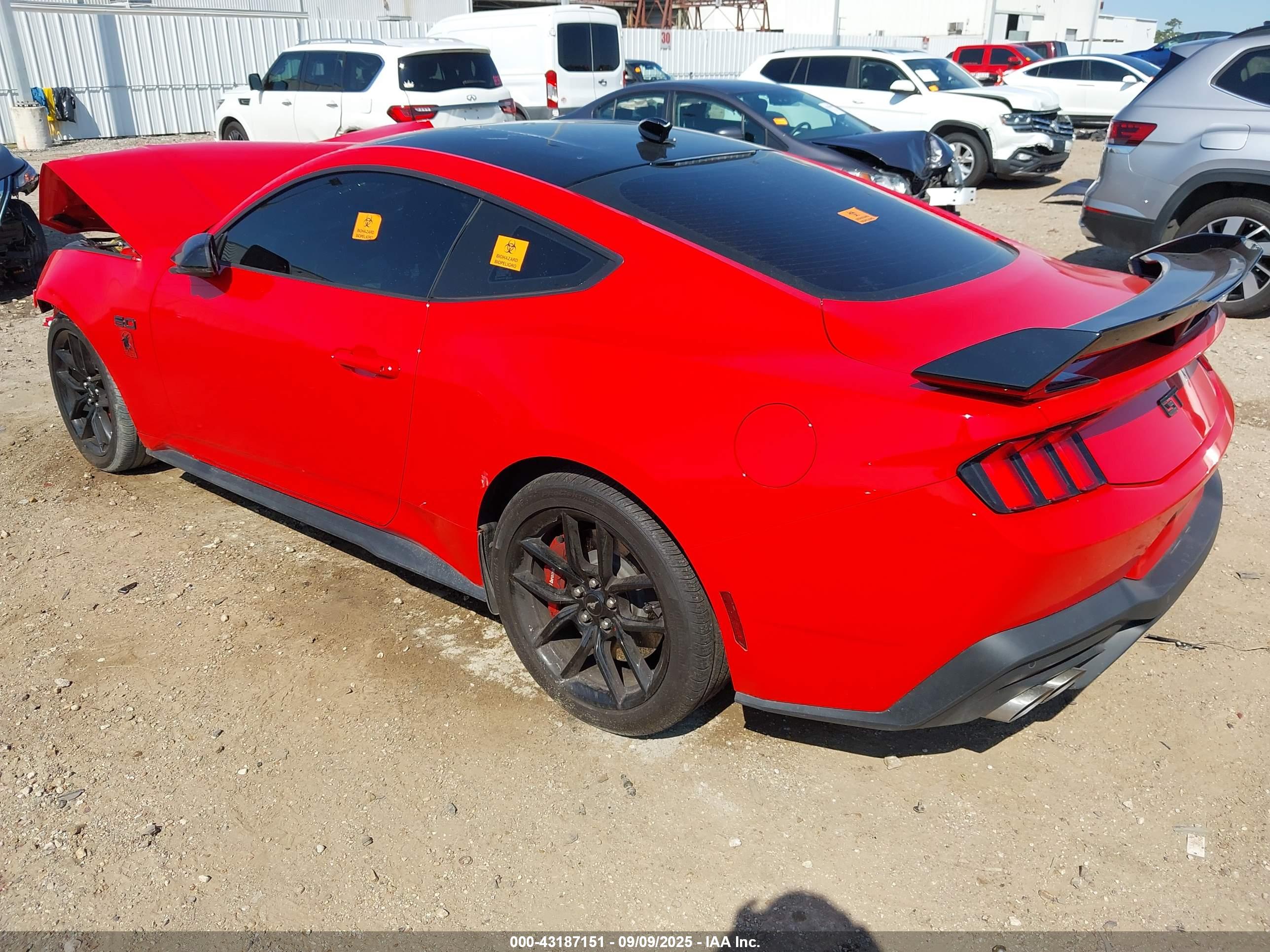 FORD MUSTANG image 3