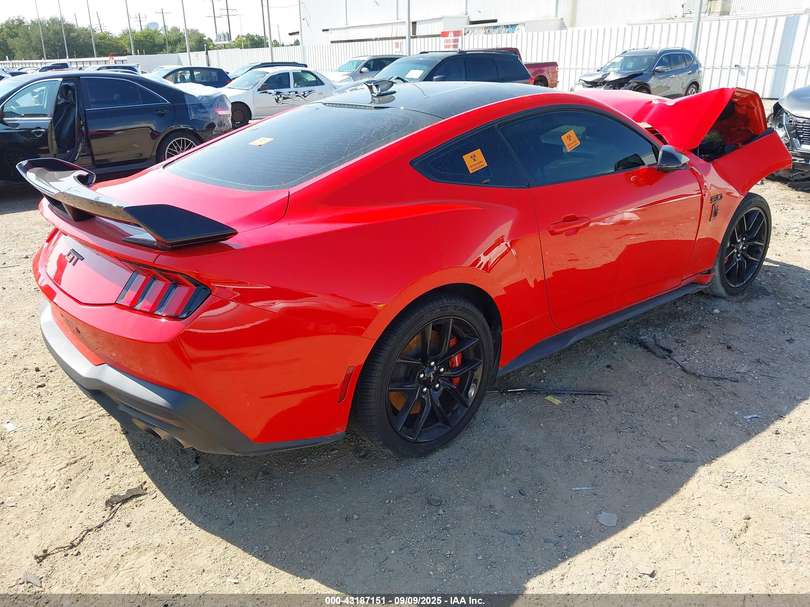FORD MUSTANG image 4
