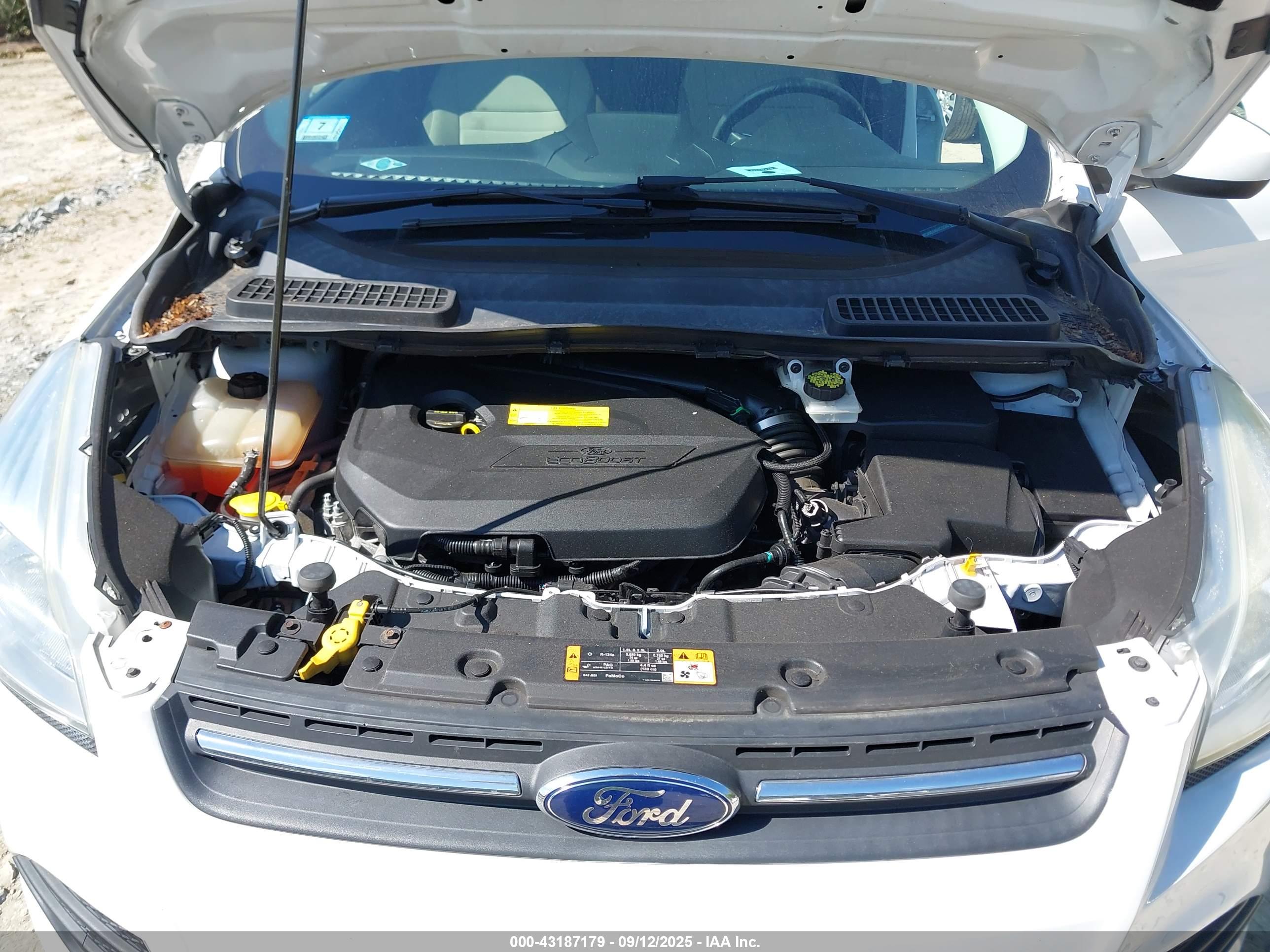 FORD ESCAPE image 10