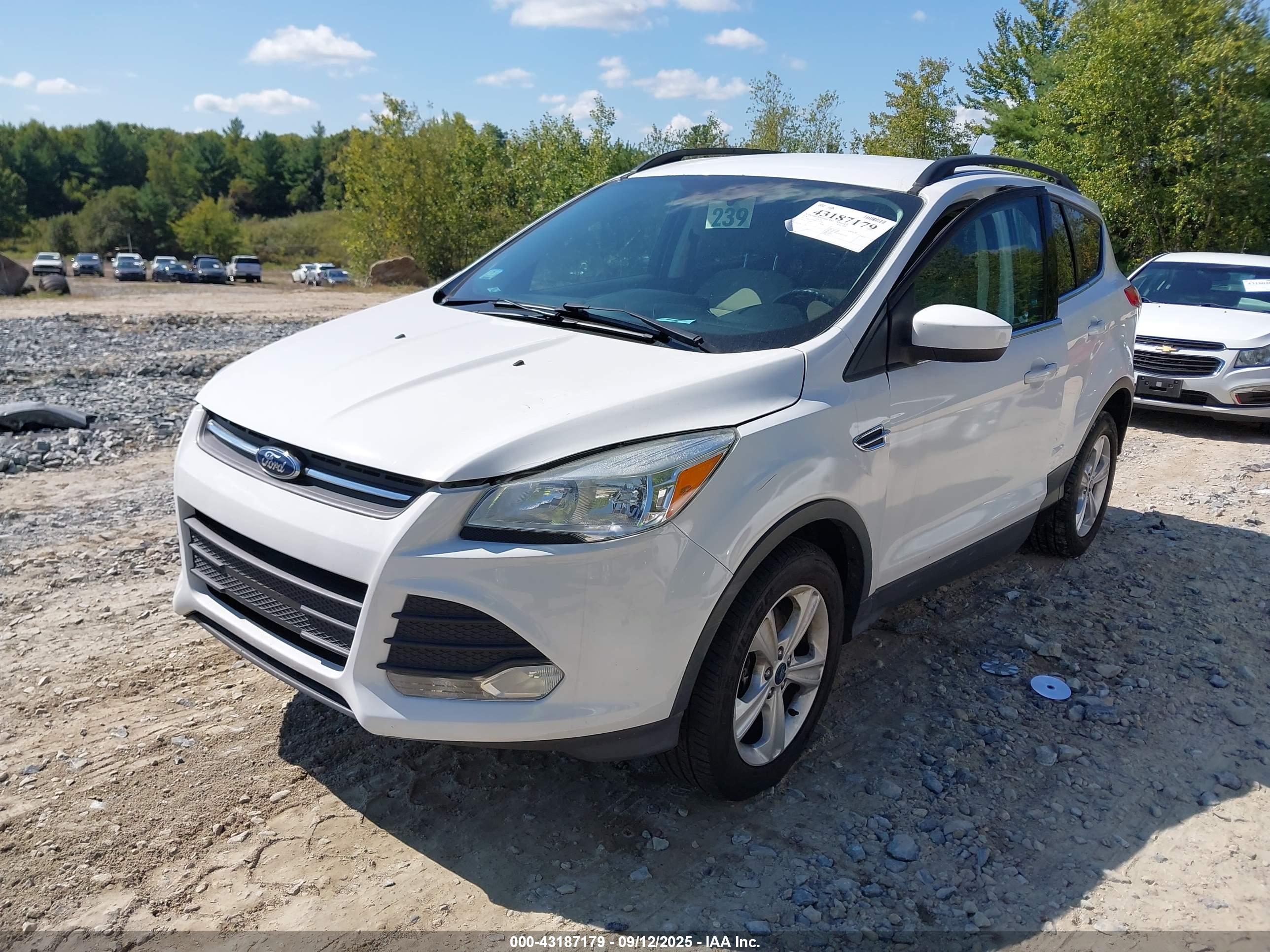 FORD ESCAPE image 2