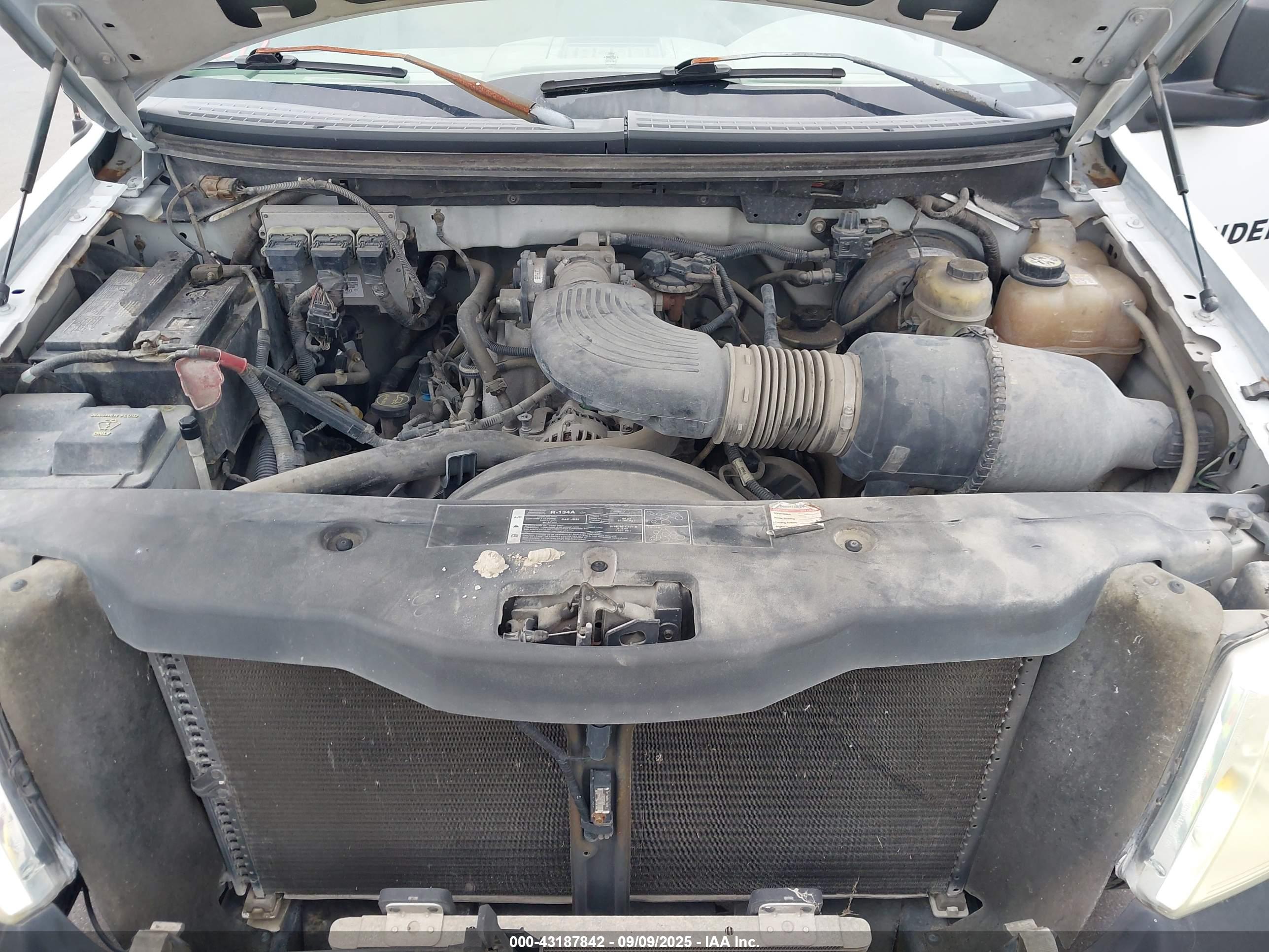 FORD F-150 image 10