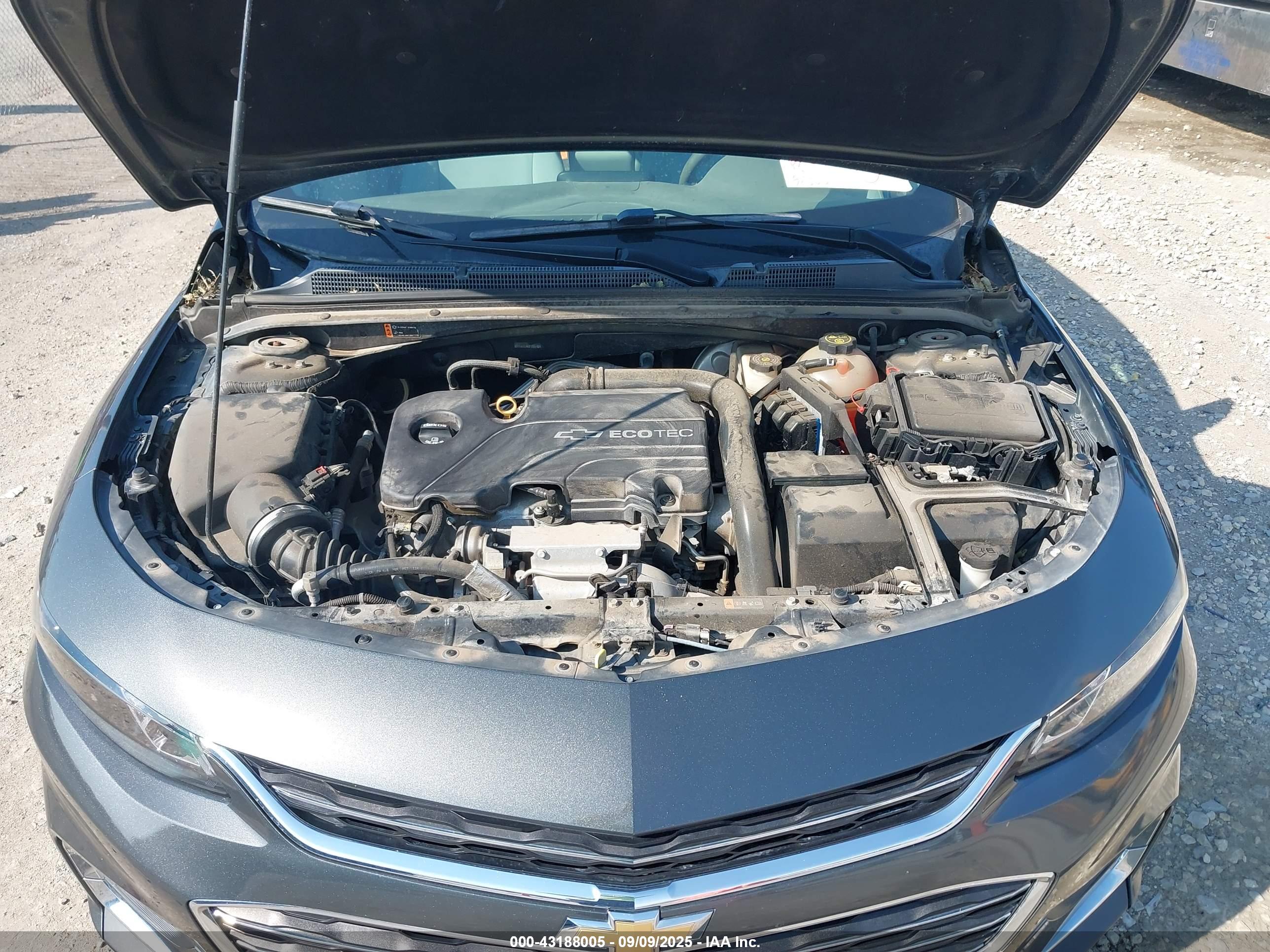 CHEVROLET MALIBU image 10