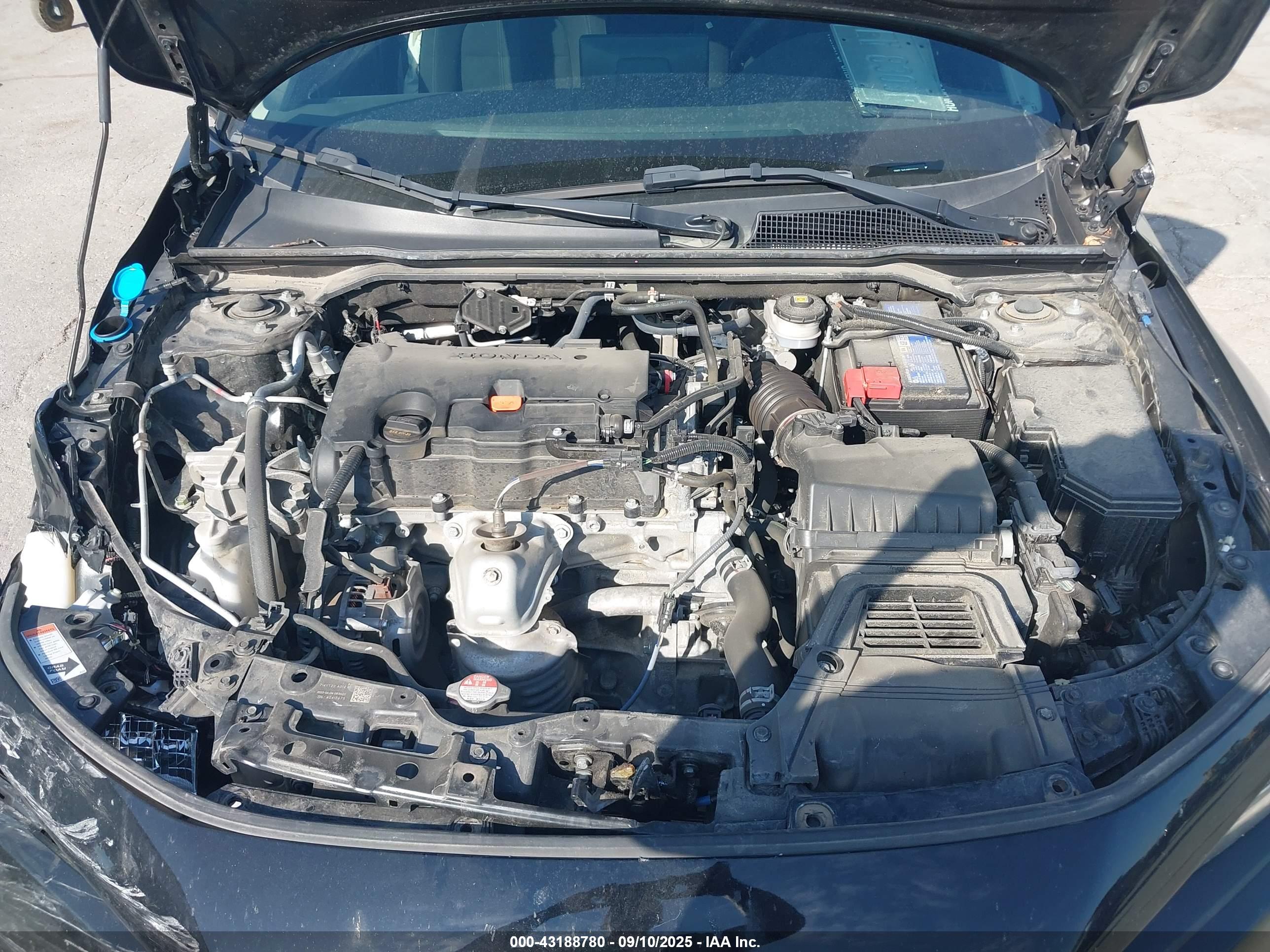 HONDA CIVIC image 10