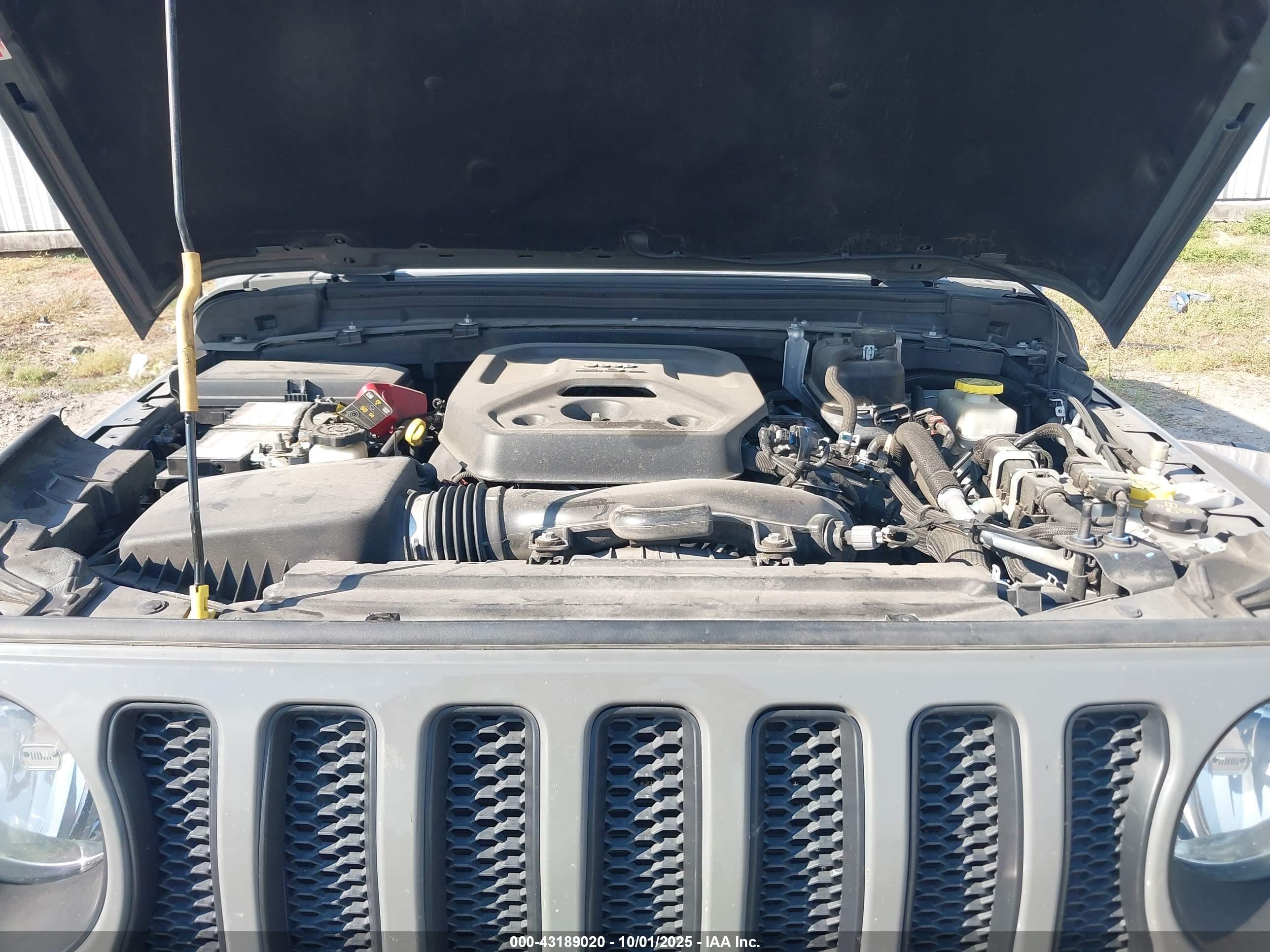 JEEP WRANGLER image 10