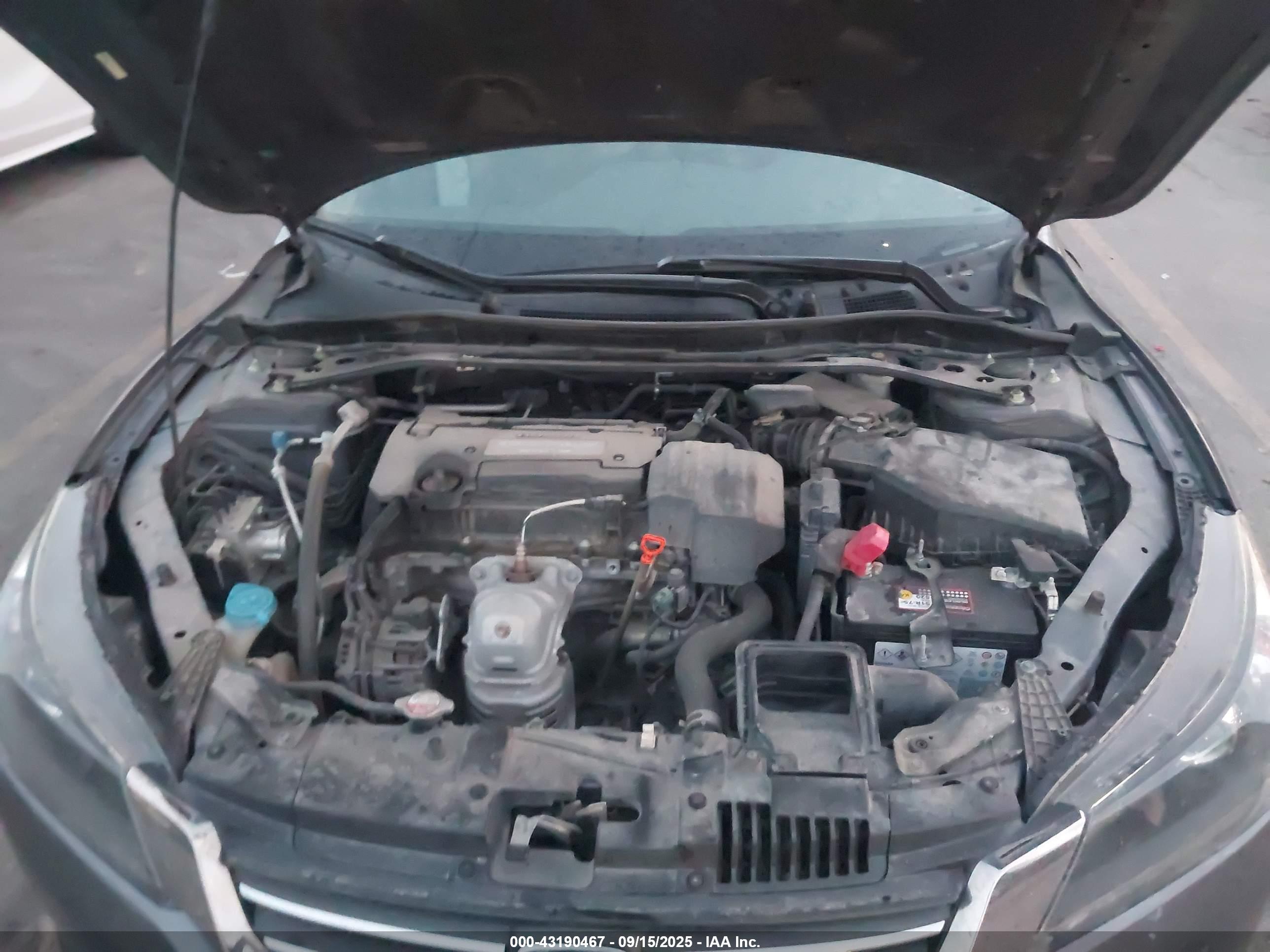 HONDA ACCORD image 10