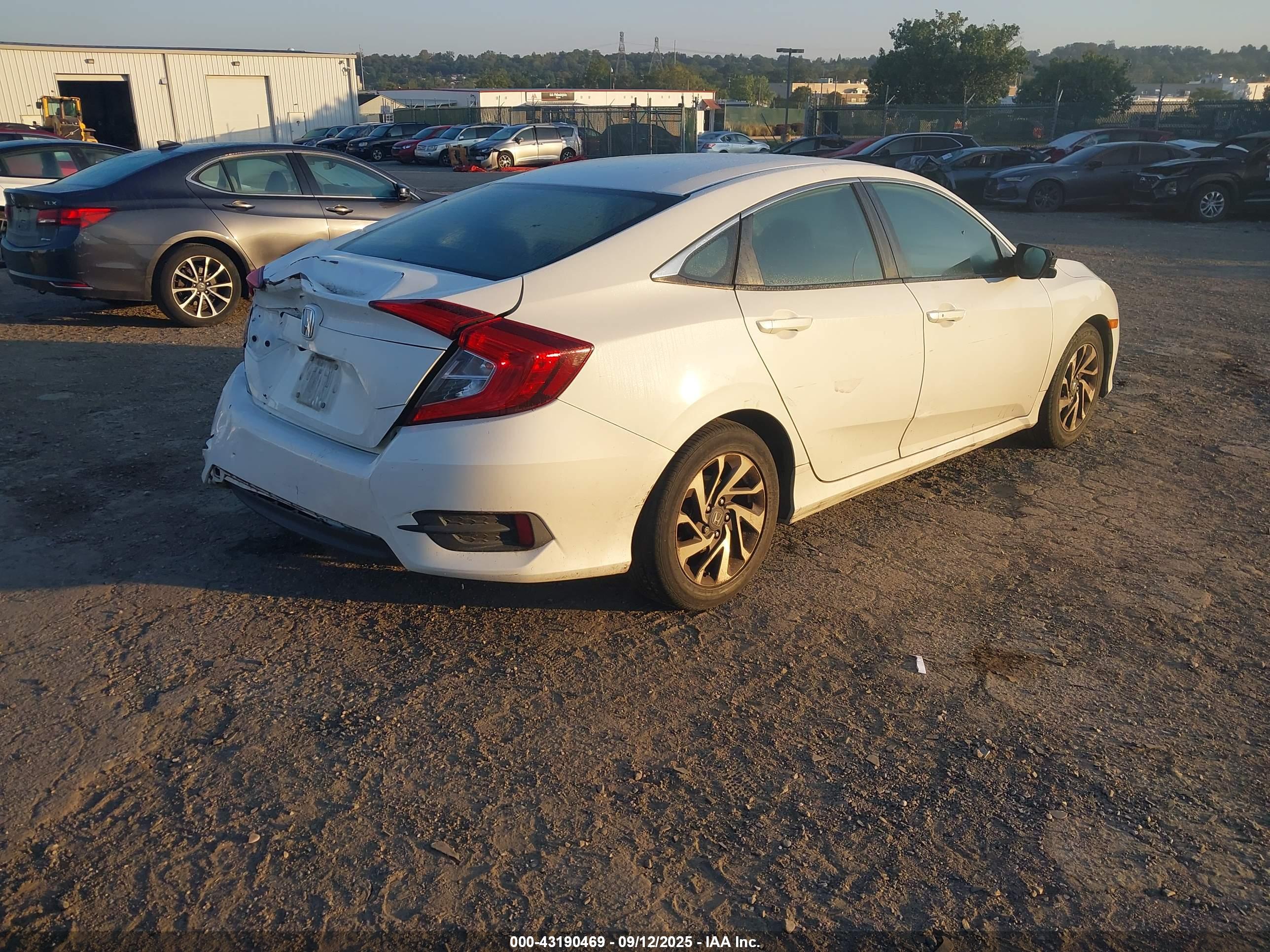 HONDA CIVIC image 4