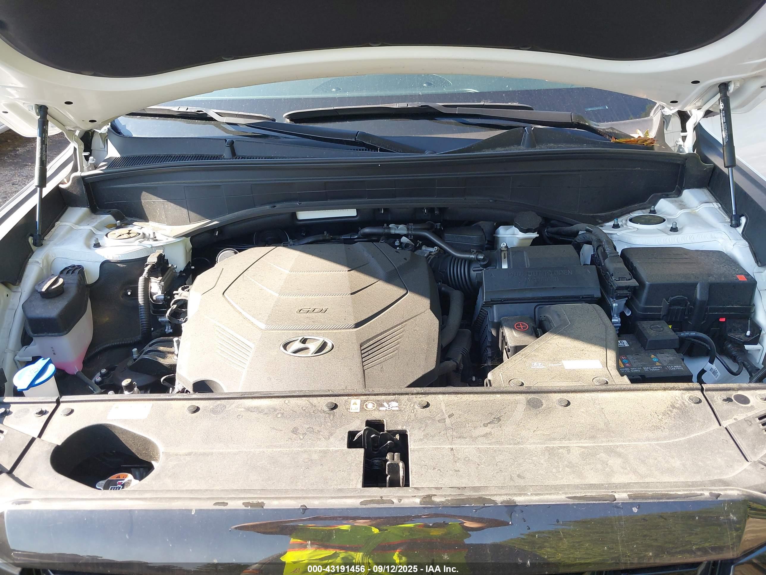 HYUNDAI PALISADE image 10