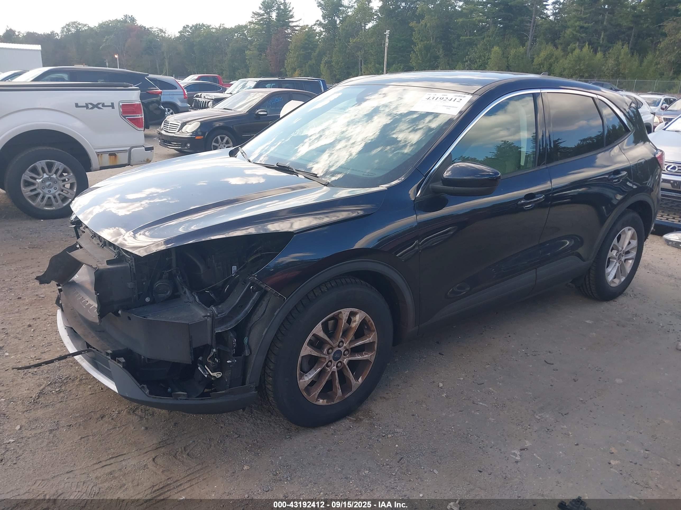 FORD ESCAPE image 2