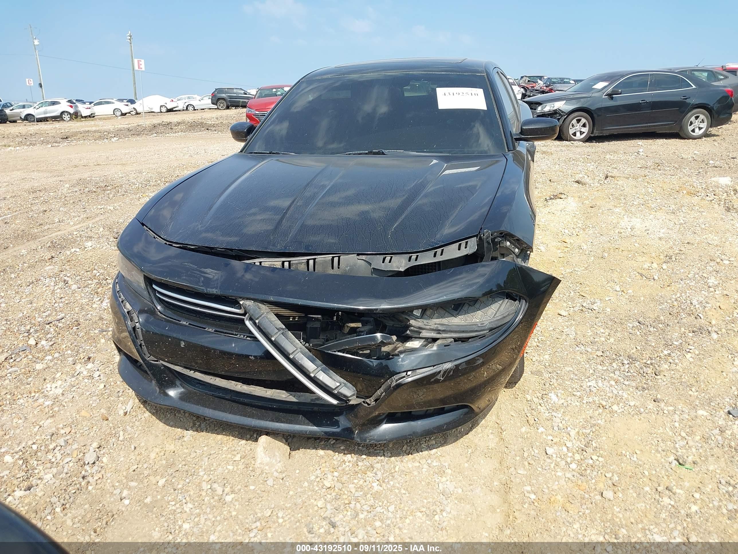 DODGE CHARGER image 6