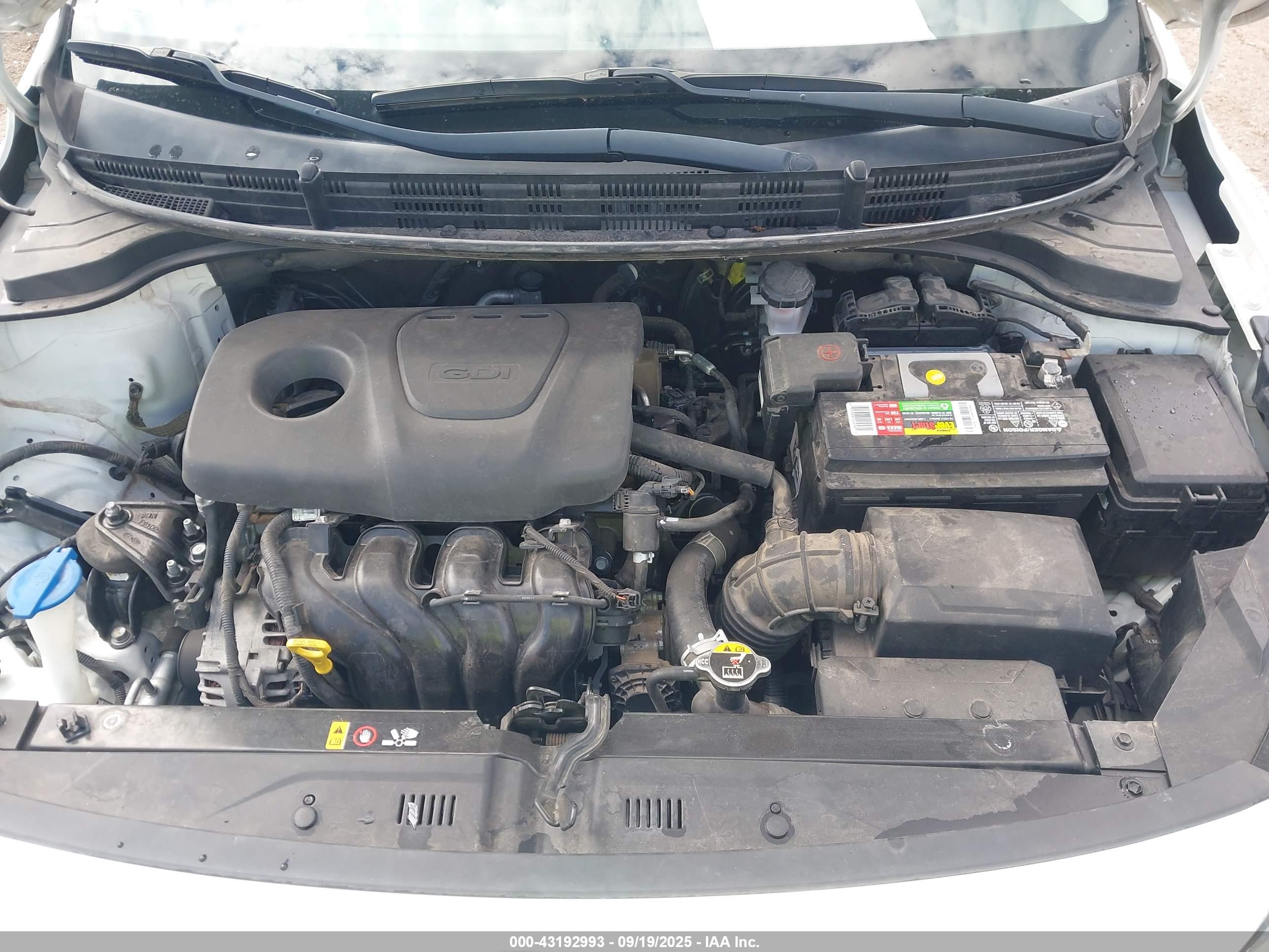 KIA RIO image 10
