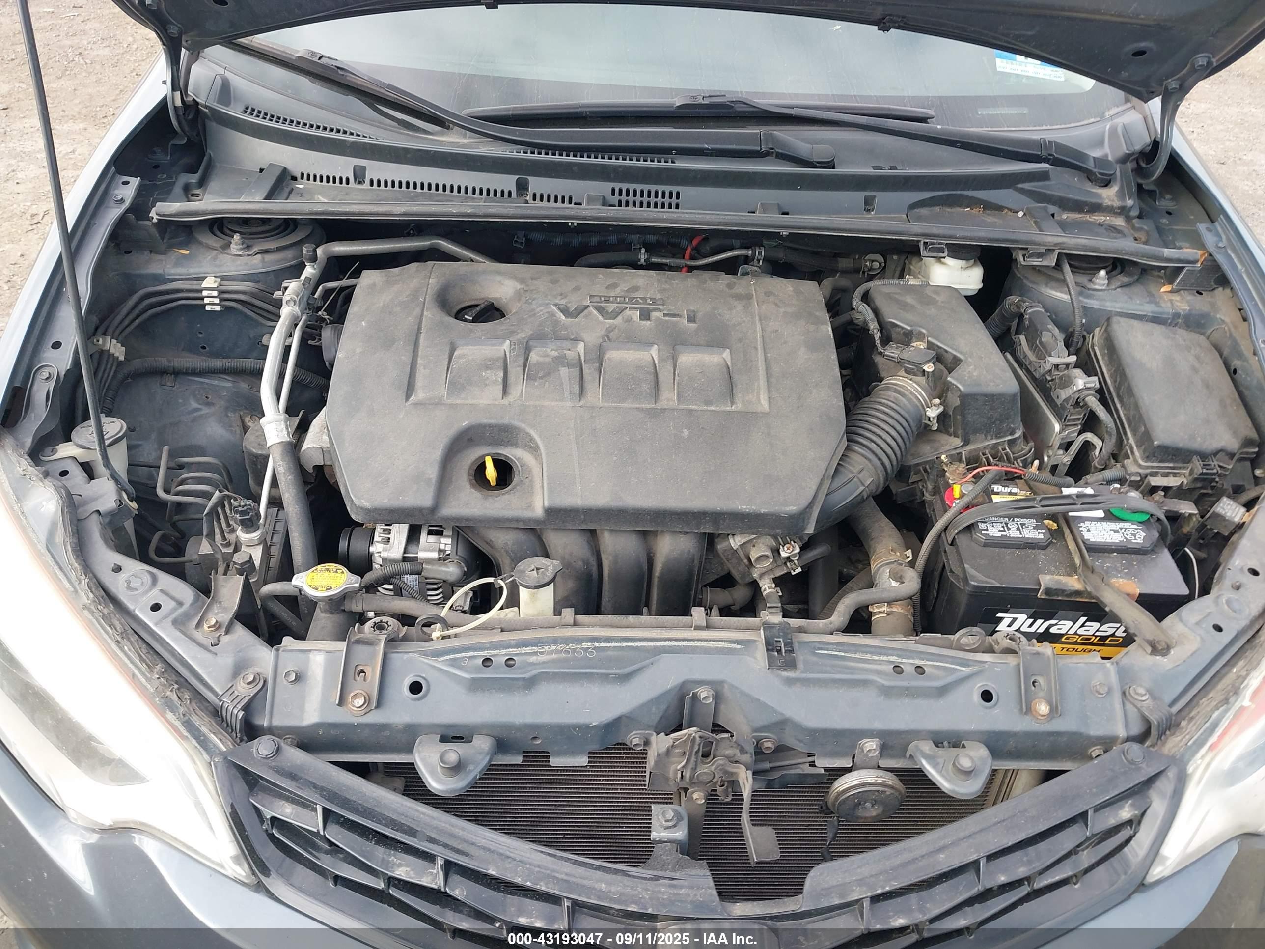 TOYOTA COROLLA image 10