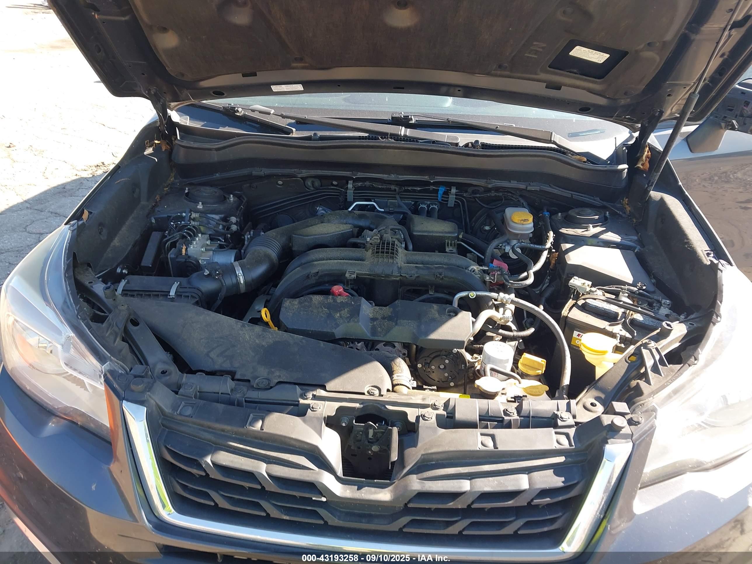 SUBARU FORESTER image 10