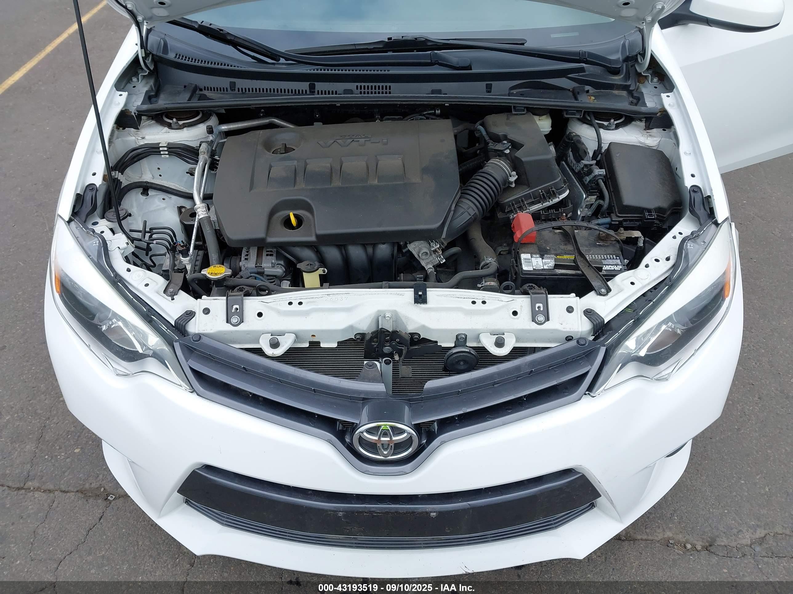 TOYOTA COROLLA image 10
