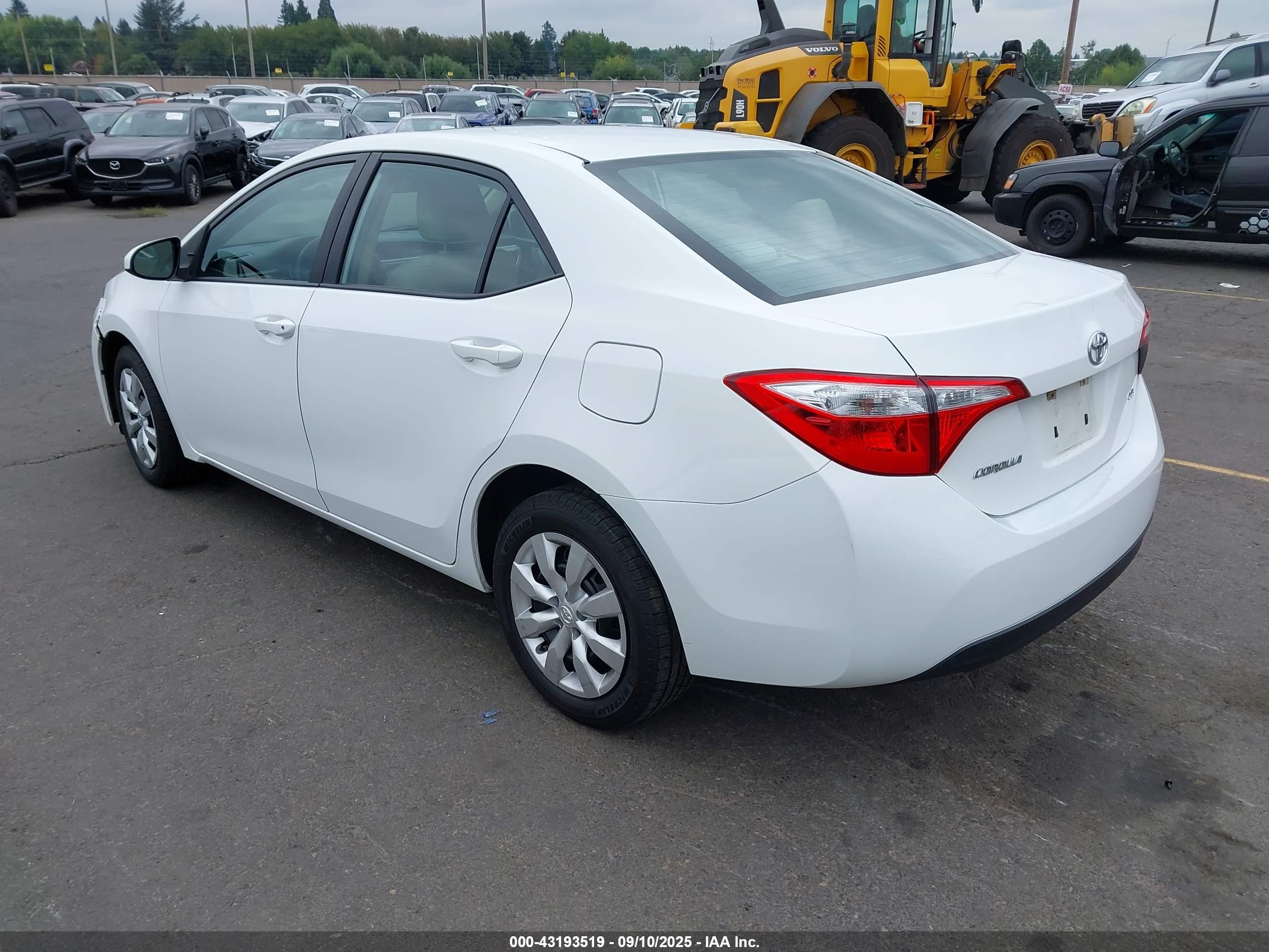 TOYOTA COROLLA image 3
